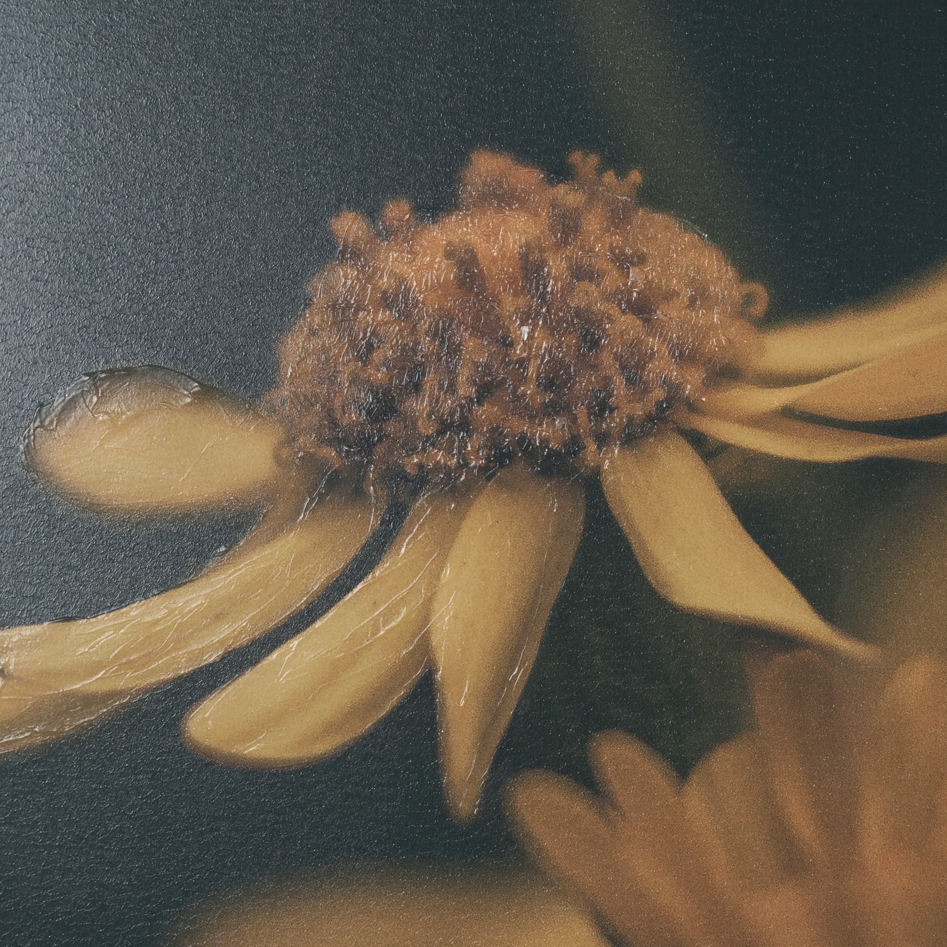 Wild Blooms I by Nathan Larson a Hand Embellished Framed Photo Art Print Matted under Glass — product photograph