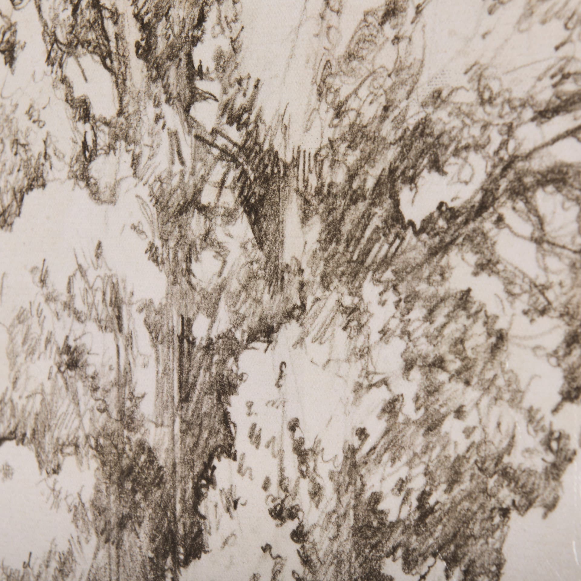 Westcoast Tree Drawing I by Mercana Studio a Hand Embellished Textured Canvas — product photograph
