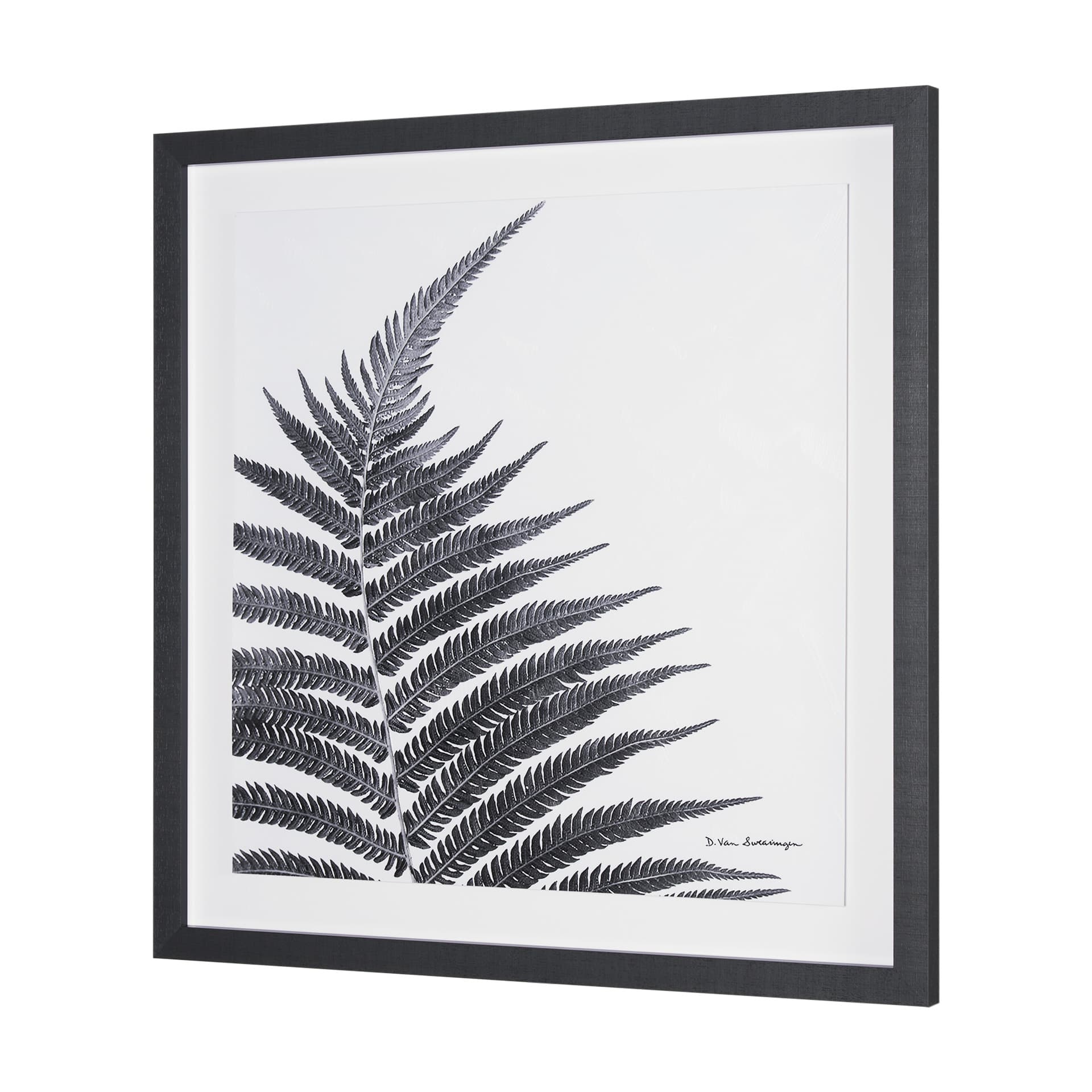Truth by Debra Van Swearingen a Hand Embellished Framed Photo Art Print Matted under Glass — product photograph