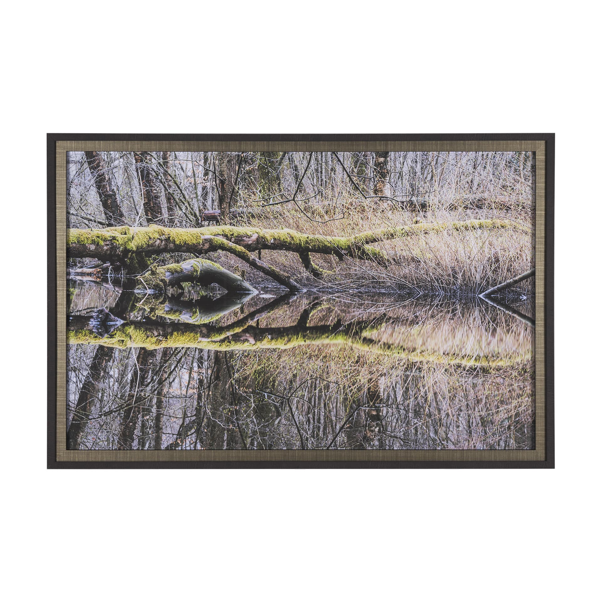 Branchscape Moss - Reflect by Mikael Svensson a Framed Photo Art Print Matted under Glass — product photograph
