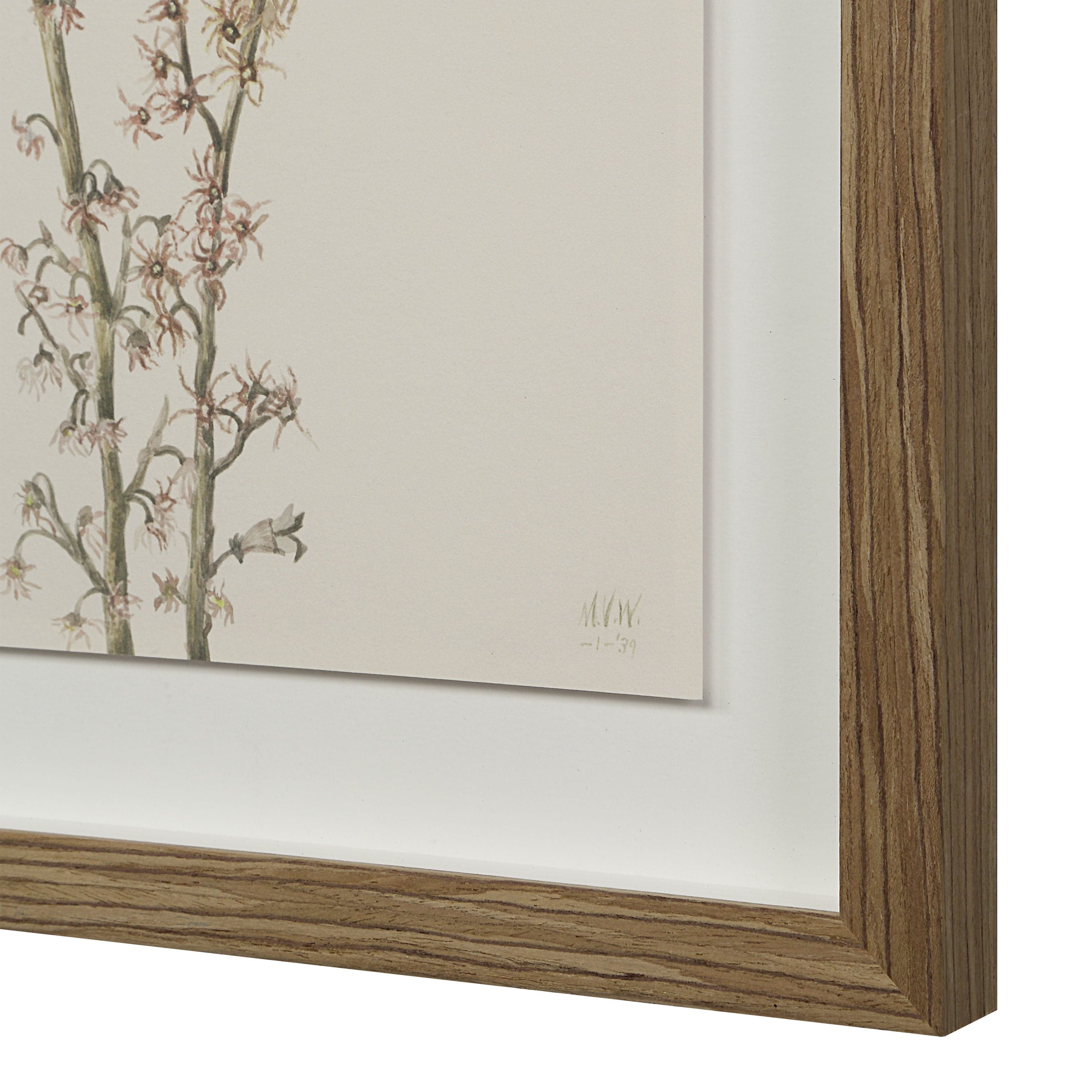 Crema — product photograph