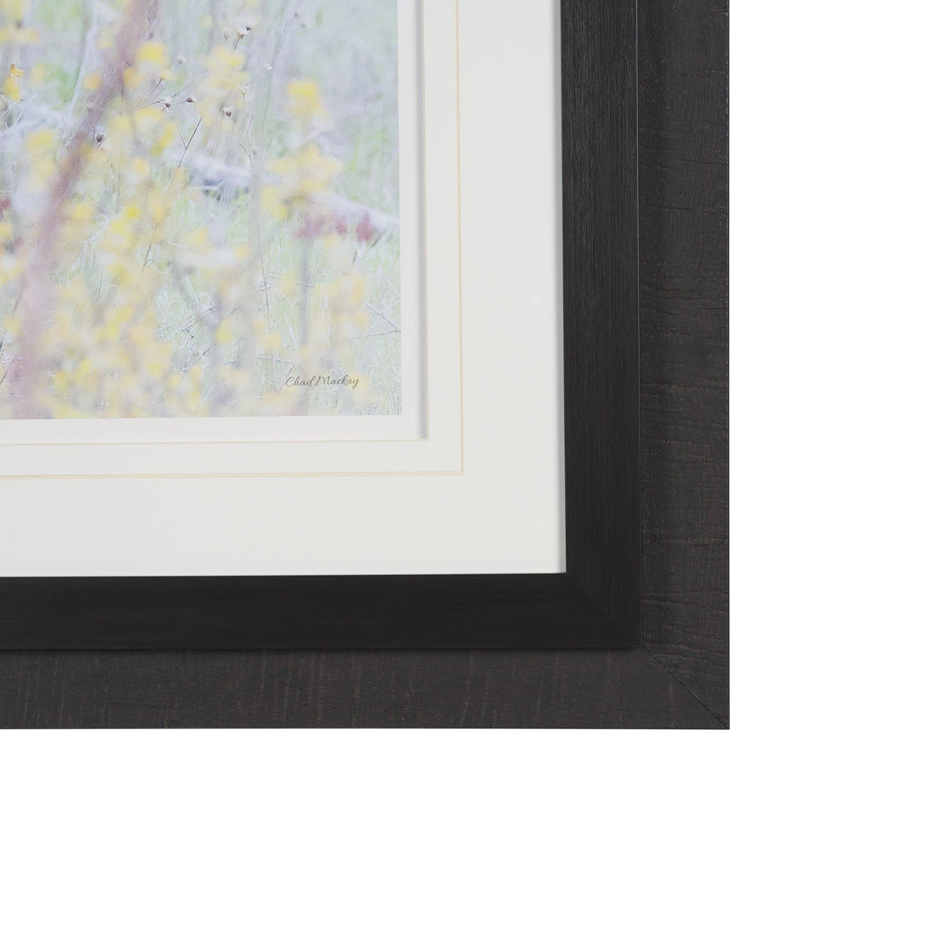 A Watchful Bond by Chad Mackay Hand Embelished Framed Art Print Matted under Glass — product photograph