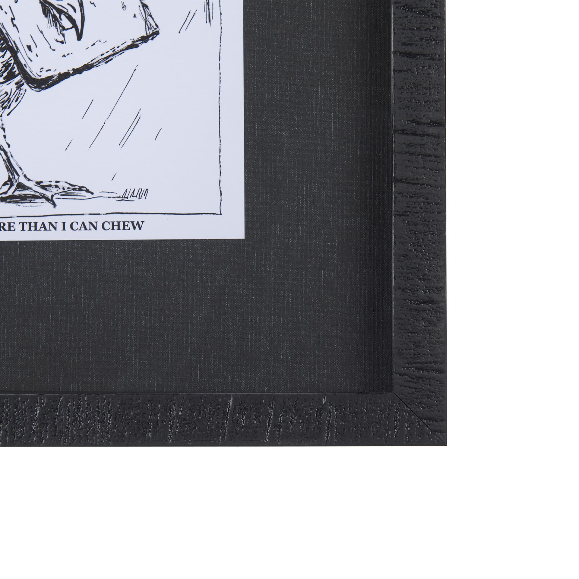 Animal Talk II by Mercana Studio a Framed Art Print Matted under Glass — product photograph