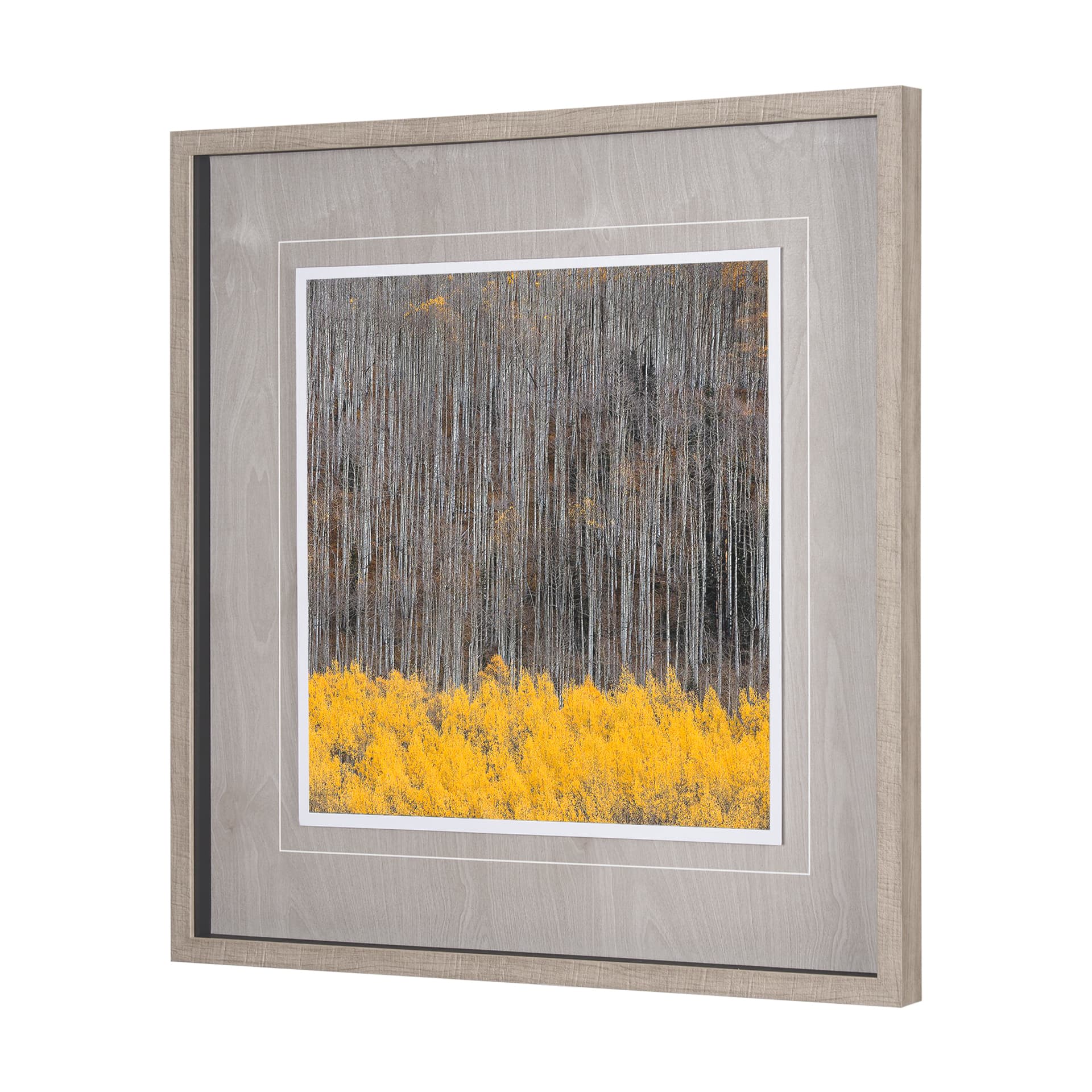 Aspen Trees 4 by Jamie Cook a Hand Embelished Textured Framed Photo Art Print Matted under Glass — product photograph
