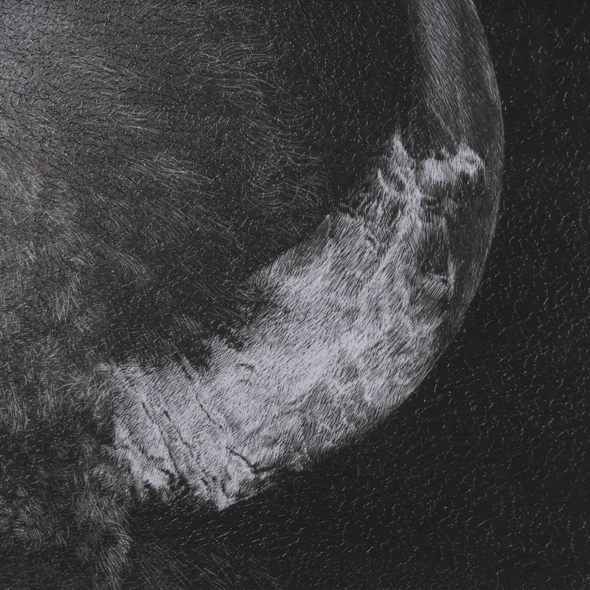Custom Black Glimpse I by Mercana Studio Hand Embellished Framed Photo Art Print Matted under Glass — product photograph