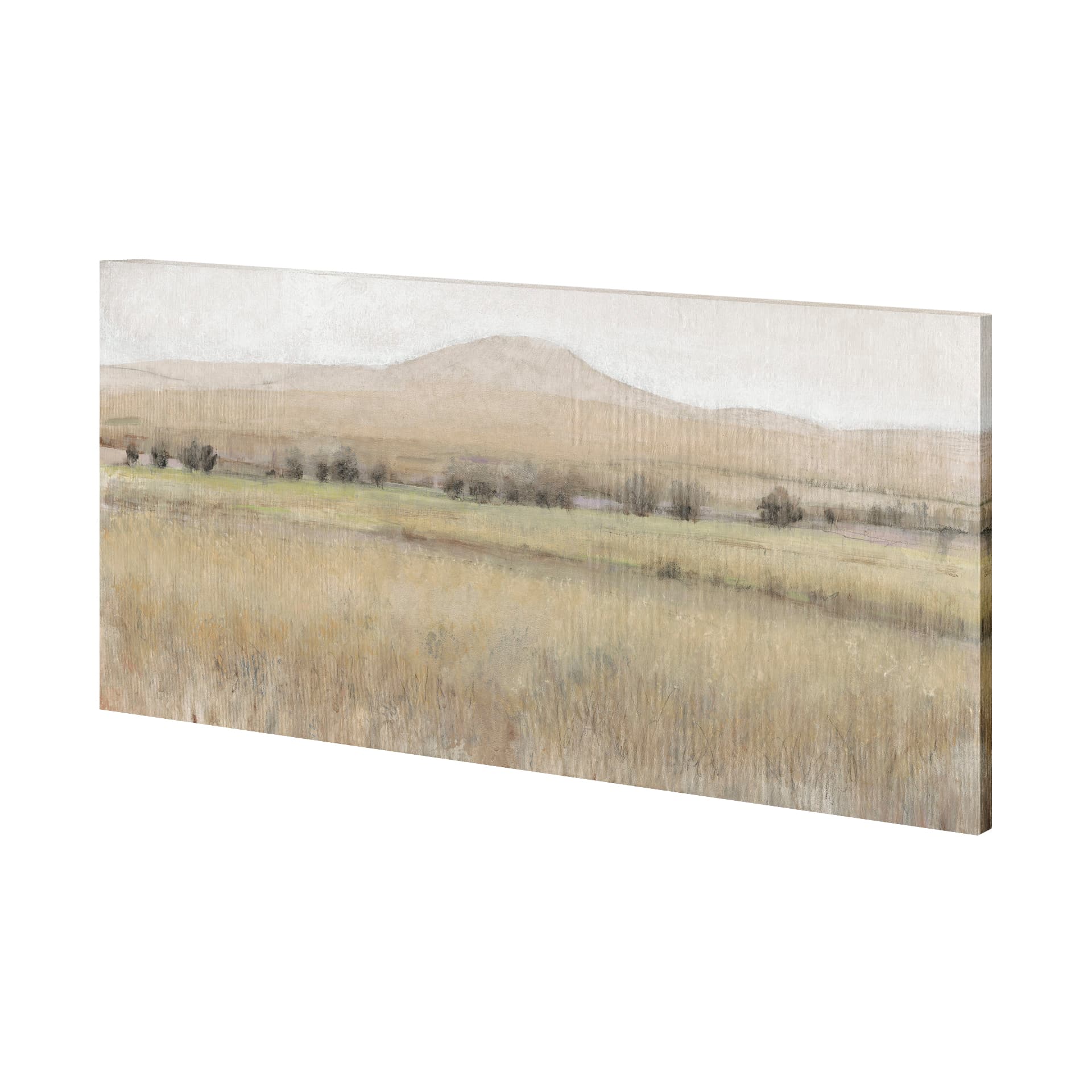 Dry Heat I by Tim OToole a Hand Embellished Textured Canvas — product photograph