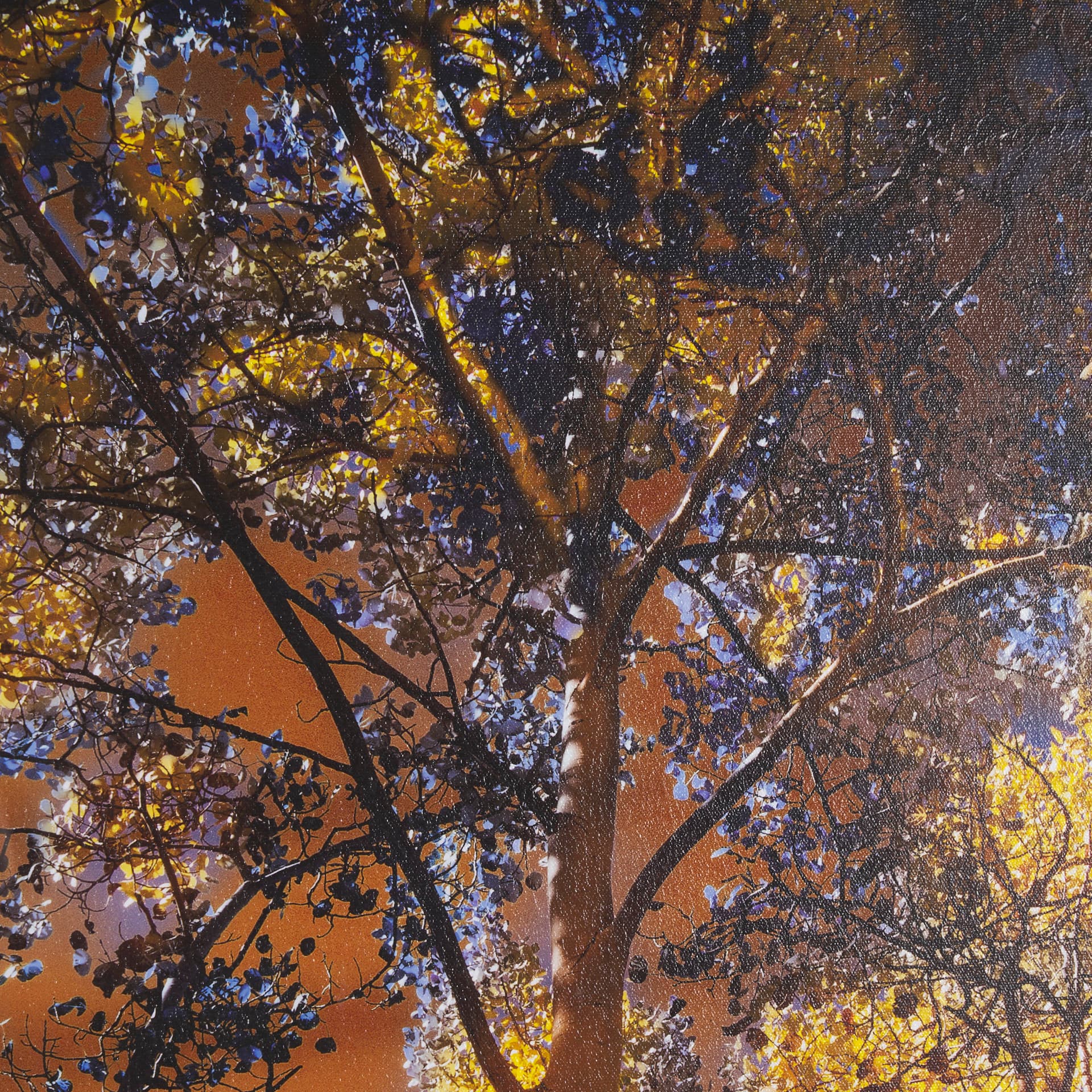 Leafy Shelter by Bobbie Goodrich a Hand Embellished Framed Photo Art Print Matted under Glass — product photograph