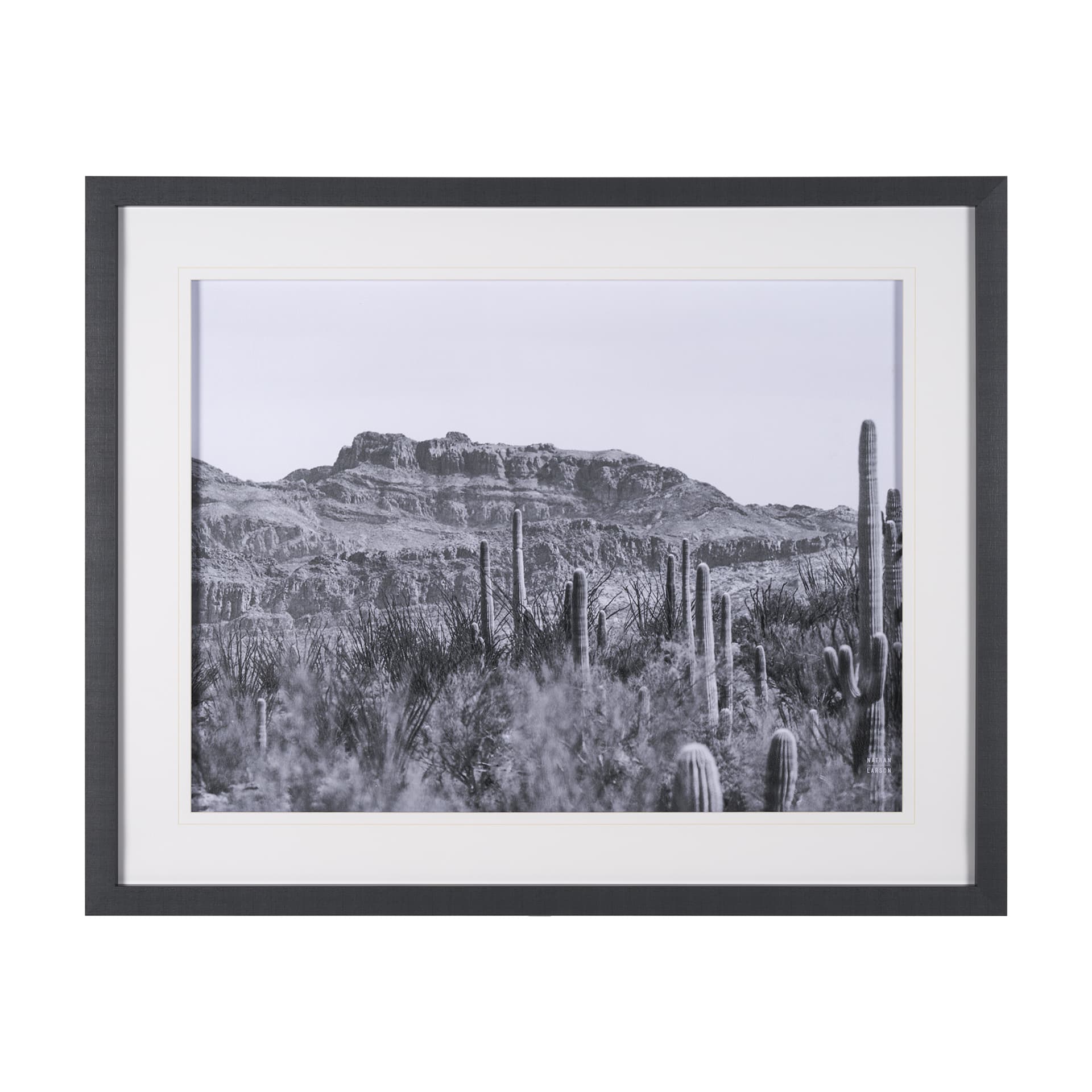 American Borderlands by Nathan Larson Hand Embelished Textured Framed Photo Art Print Matted under G — product photograph