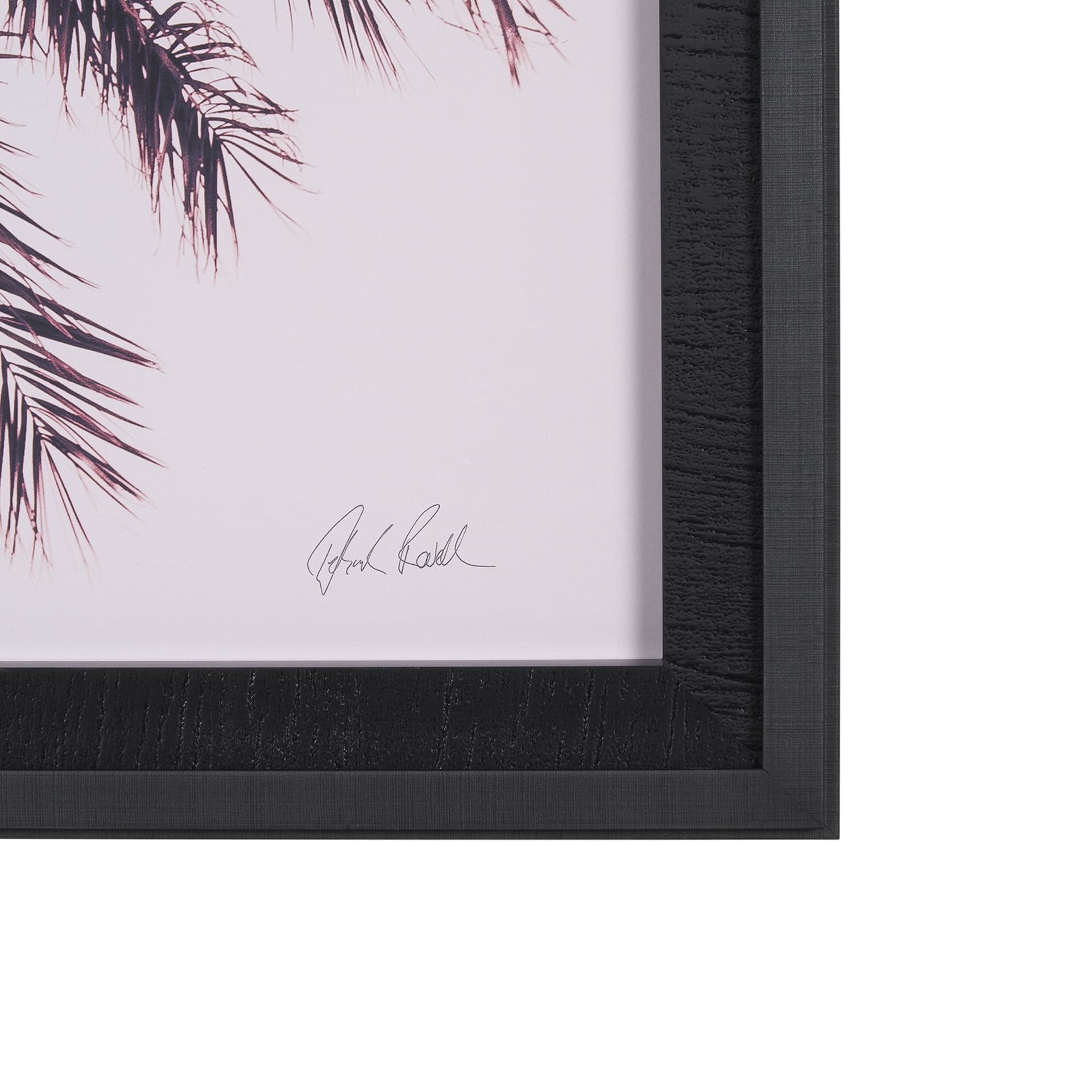 Pink Palms Horizontal by Deborah Revell a Framed Photo Art Print Matted under Glass — product photograph