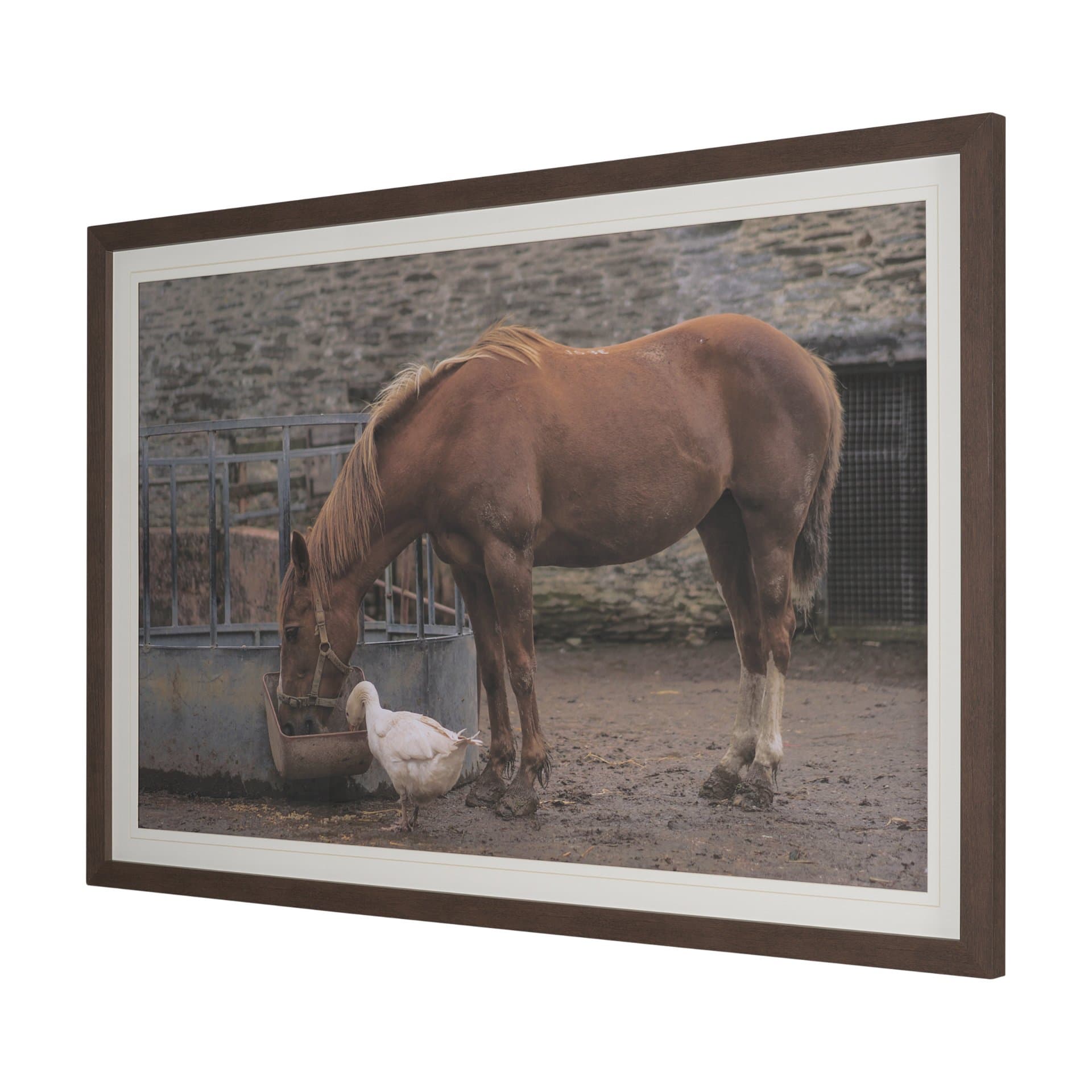 Sharing Lunch by Gert van den Bosch FramedPhoto Print Matted under Glass — product photograph