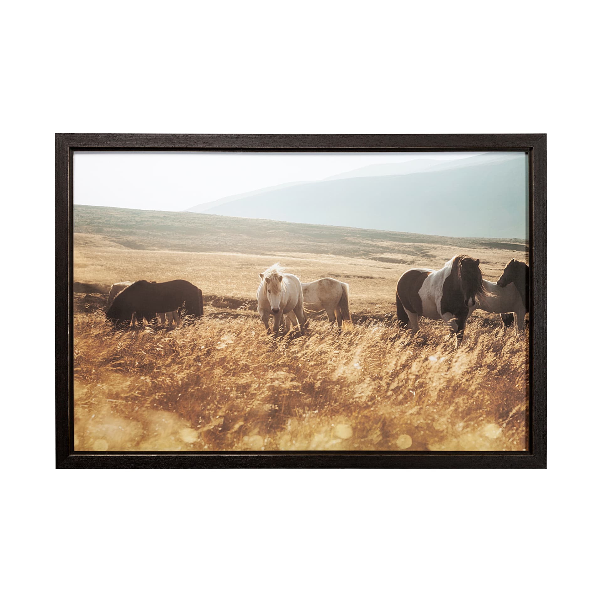 Moorland Serenity by Andreas Stridsberg a Framed Photo Art Print Matted under Glass — product photograph