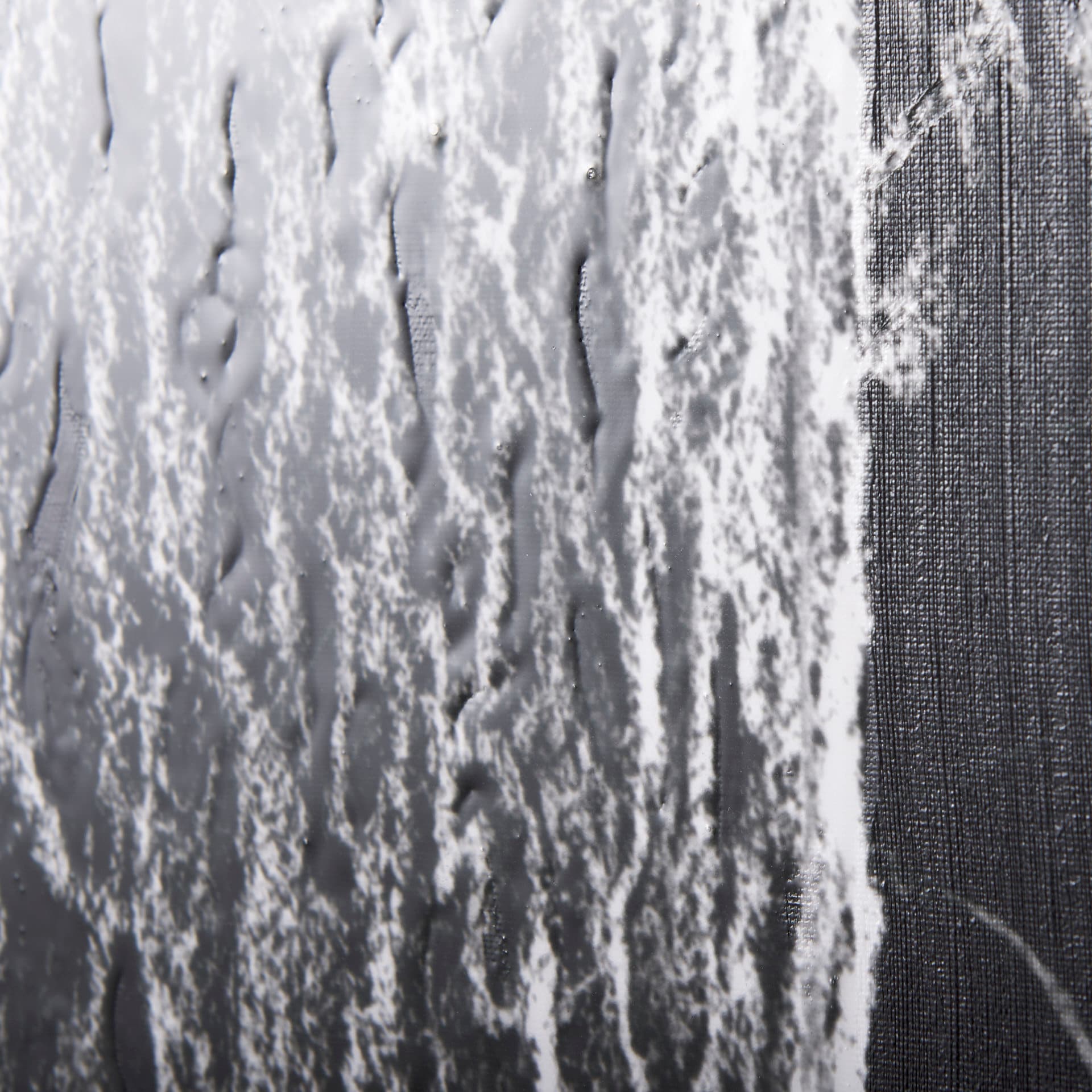 Forest BW II by Ariana a Hand Embellished Textured Canvas — product photograph