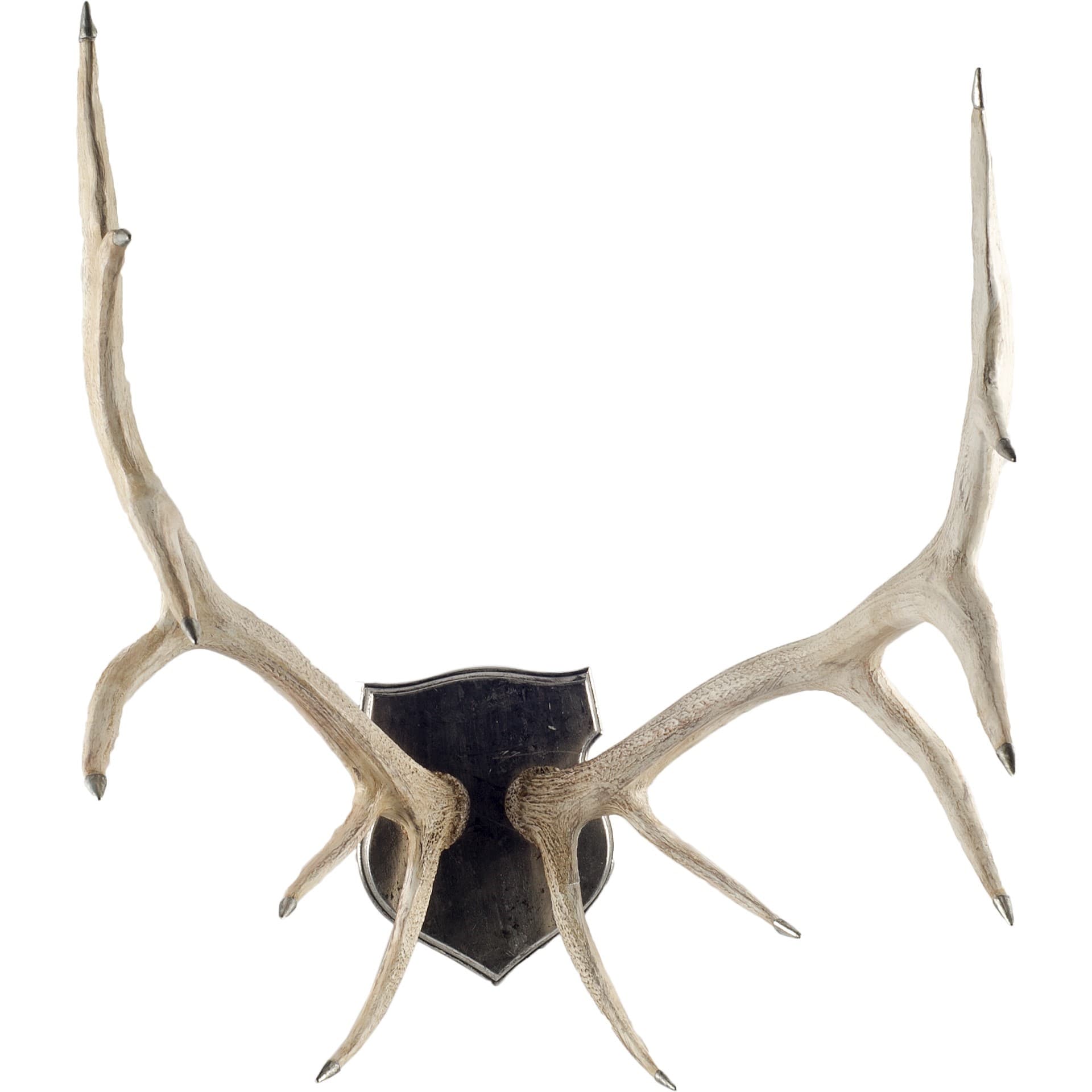 Sika I Natural Finish set of Replica Deer Antlers — product photograph