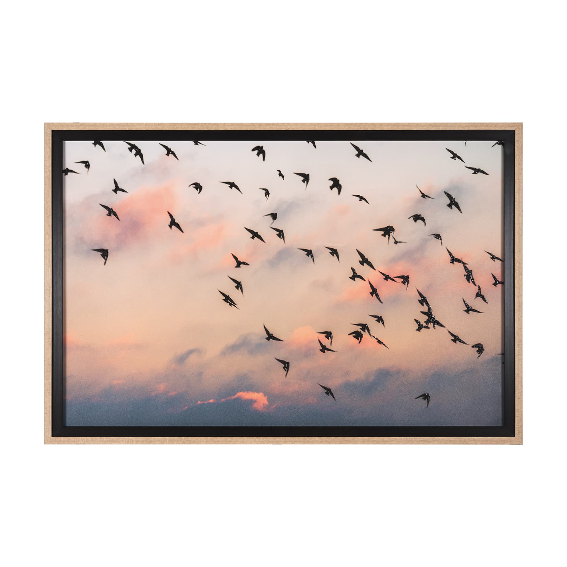 Evening Flight by Mercana Studio a Hand Embellished Textured Framed Photo Art Print Matted under Gla — product photograph