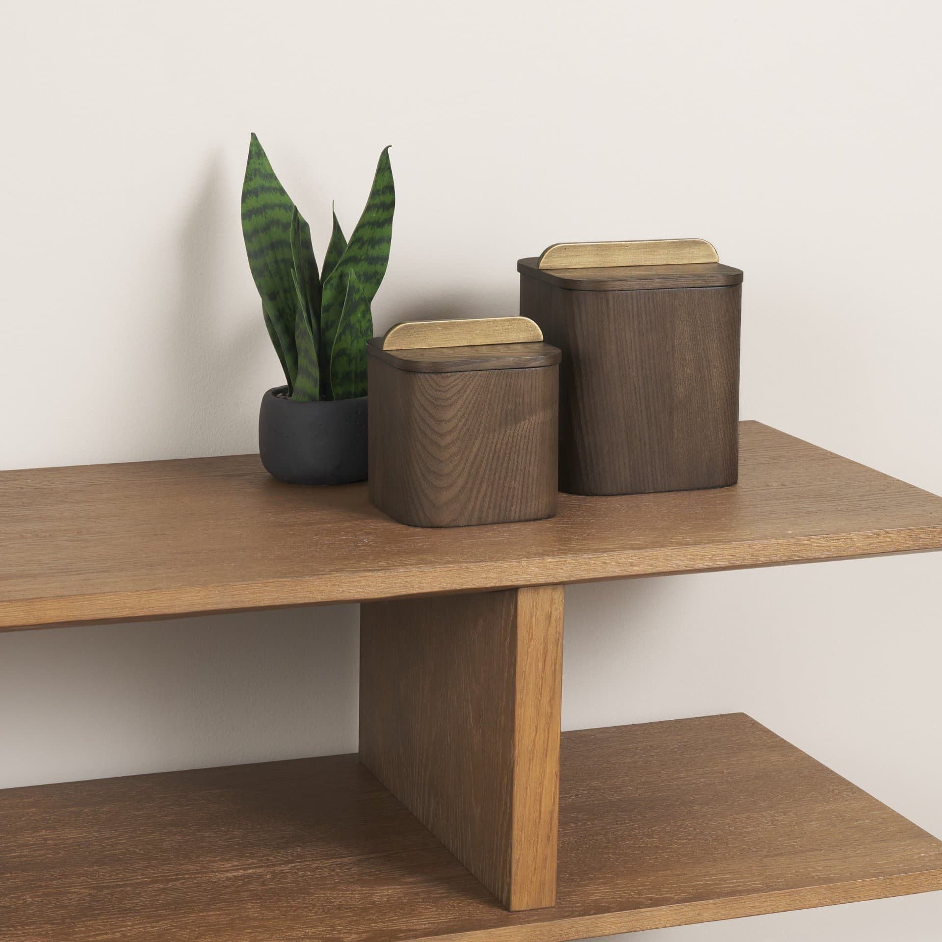 Benton Brown Wood w/ Brass Handle Decorative Box Set — in a styled room