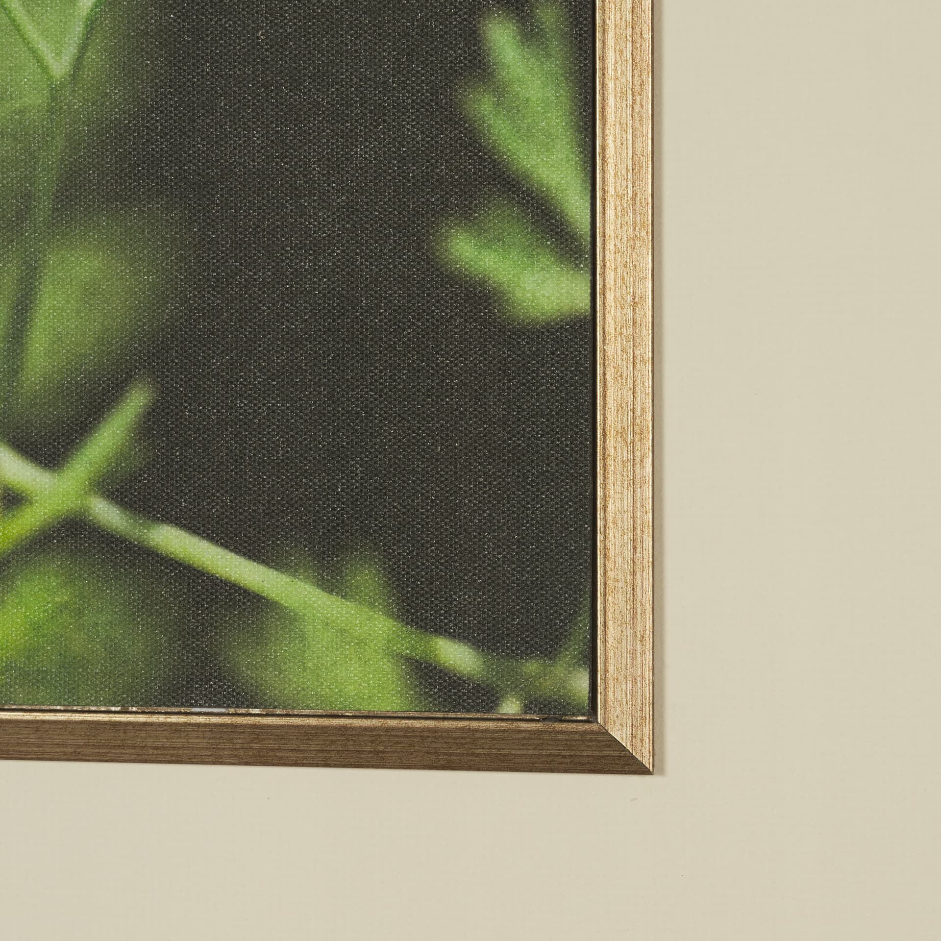 Green Growth by Michael Banks a Hand Embellished Framed Photo Art Print Matted under Glass — product photograph