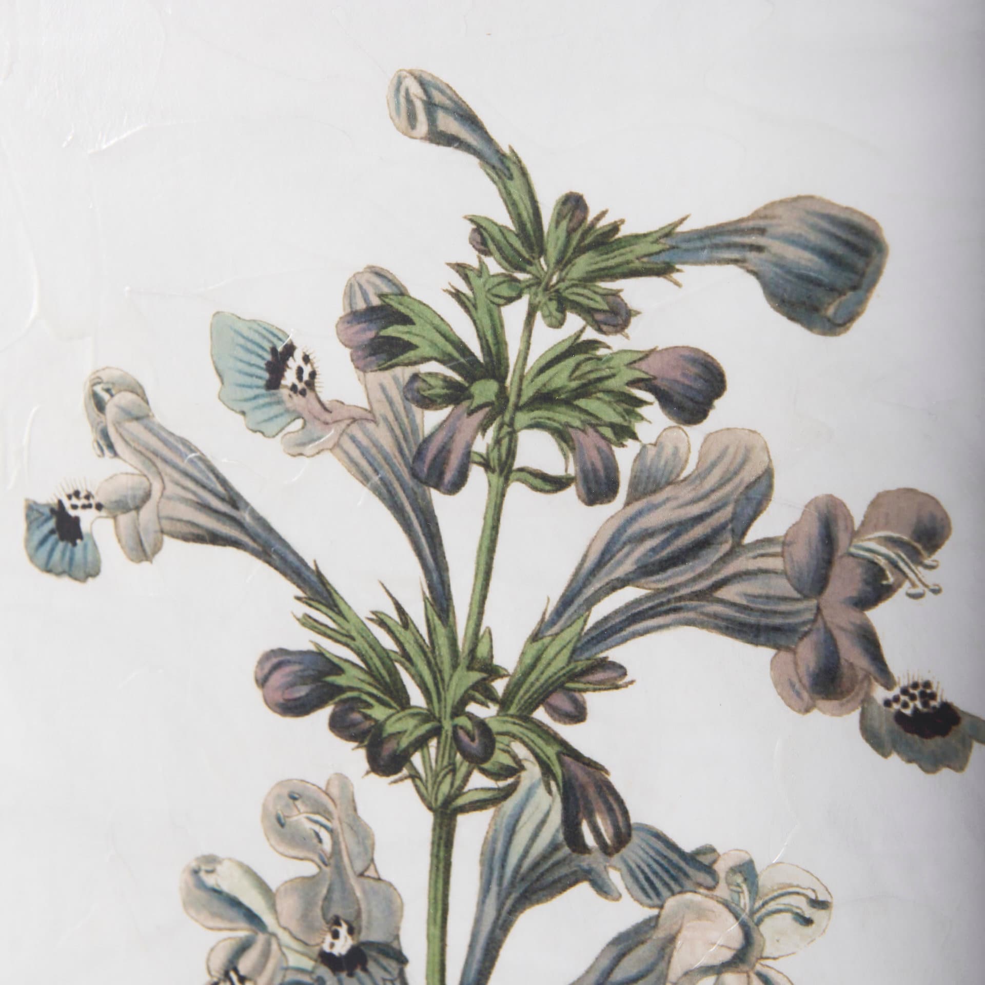 Soft Blue Botanoicals III by Mercana Studio Hand Embellished Framed Art Print Matted under Glass — product photograph