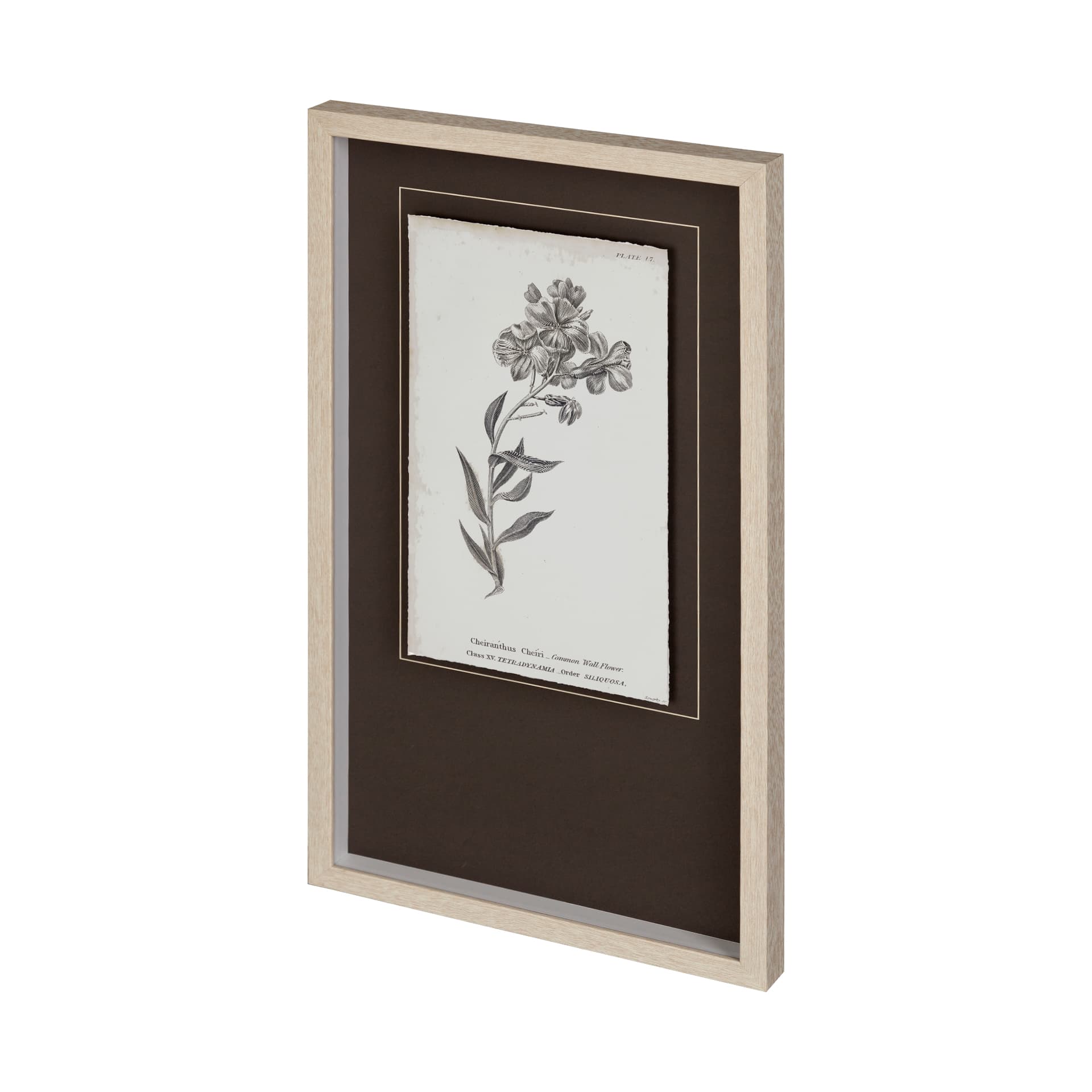 Conversations on Botany VI by Mercana Studio Hand Embellished Framed Art Print Matted under Glass — product photograph