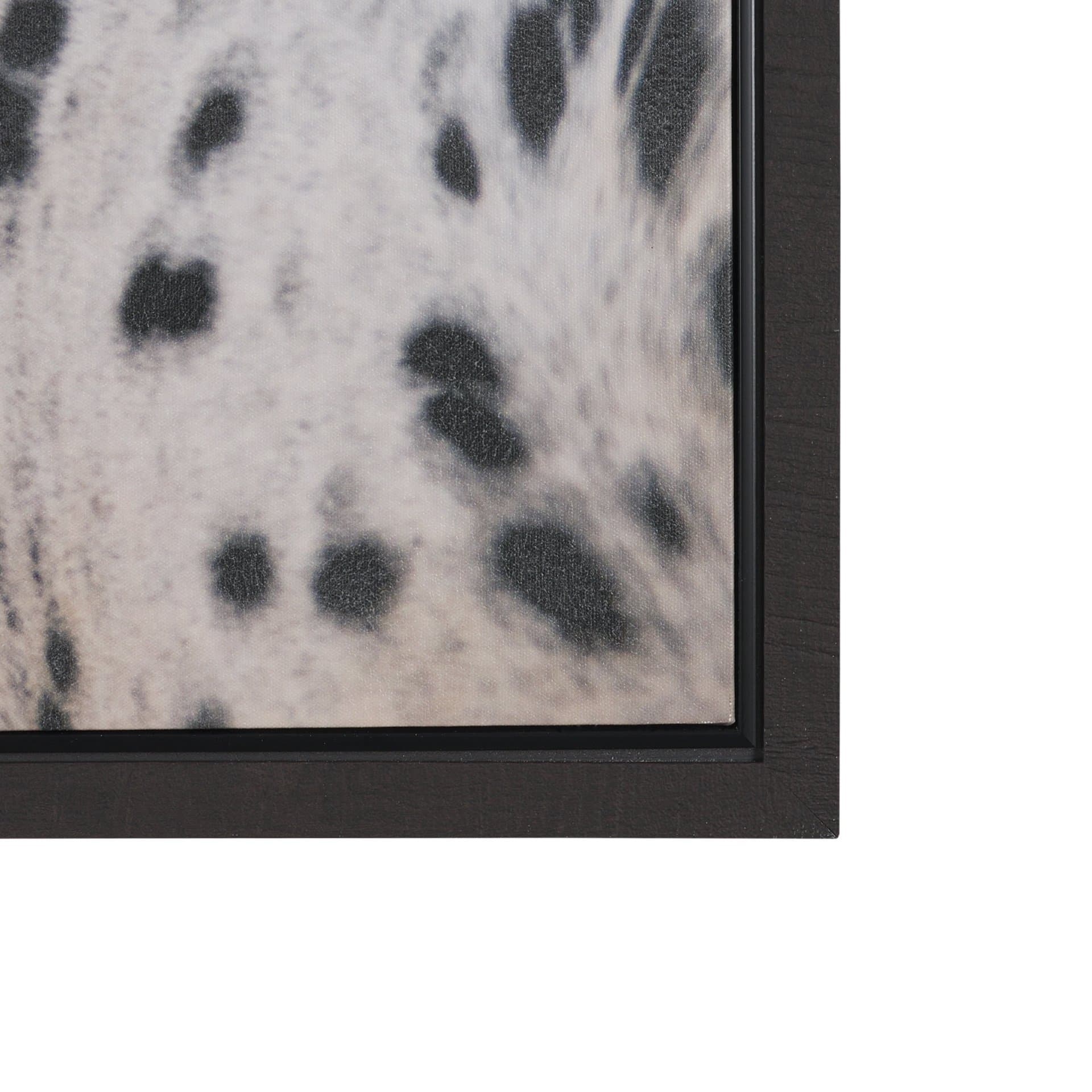 Andromeda 4 by Crystal Lynn Collins Hand-Embellished Textured Framed Canvas Artwork — product photograph