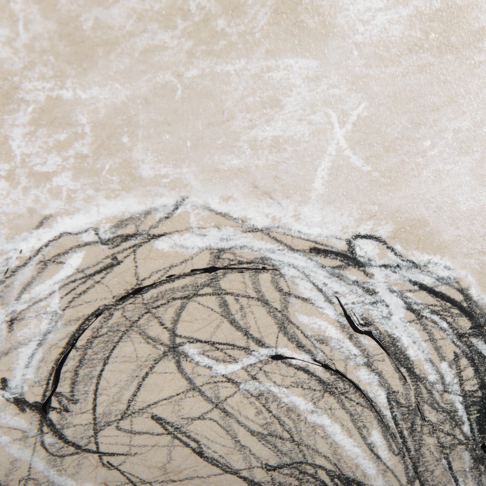 Sketch of Animal VIII by Mercana Studio Hand Embellished Framed Art Print Matted under Glass — product photograph