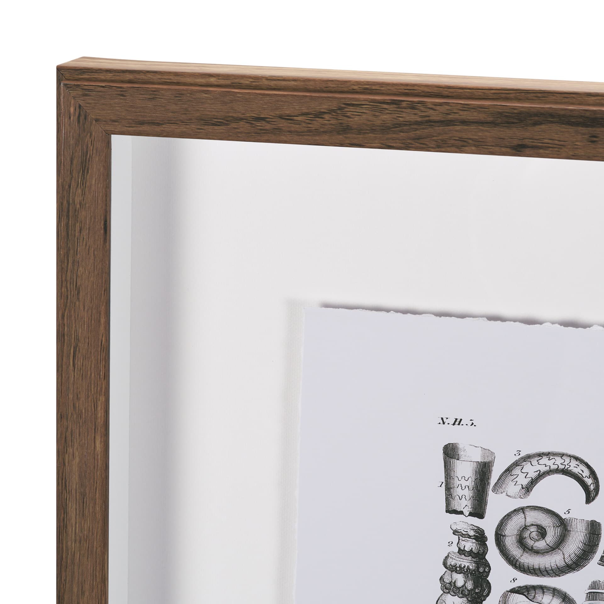 Sealife II by Oliver Goldsmith a Hand Embellished Framed Art Print Matted under Glass — product photograph