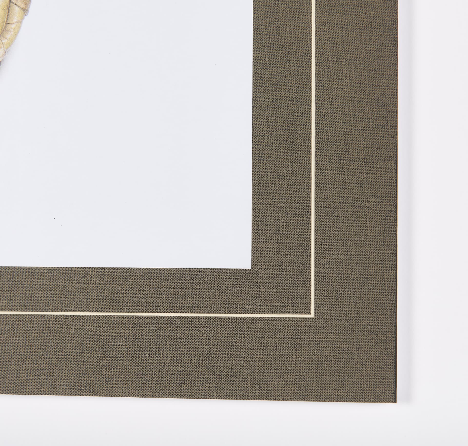 Fielders Choice by Mercana Studio a Framed Photo Art Print Matted under Glass — product photograph