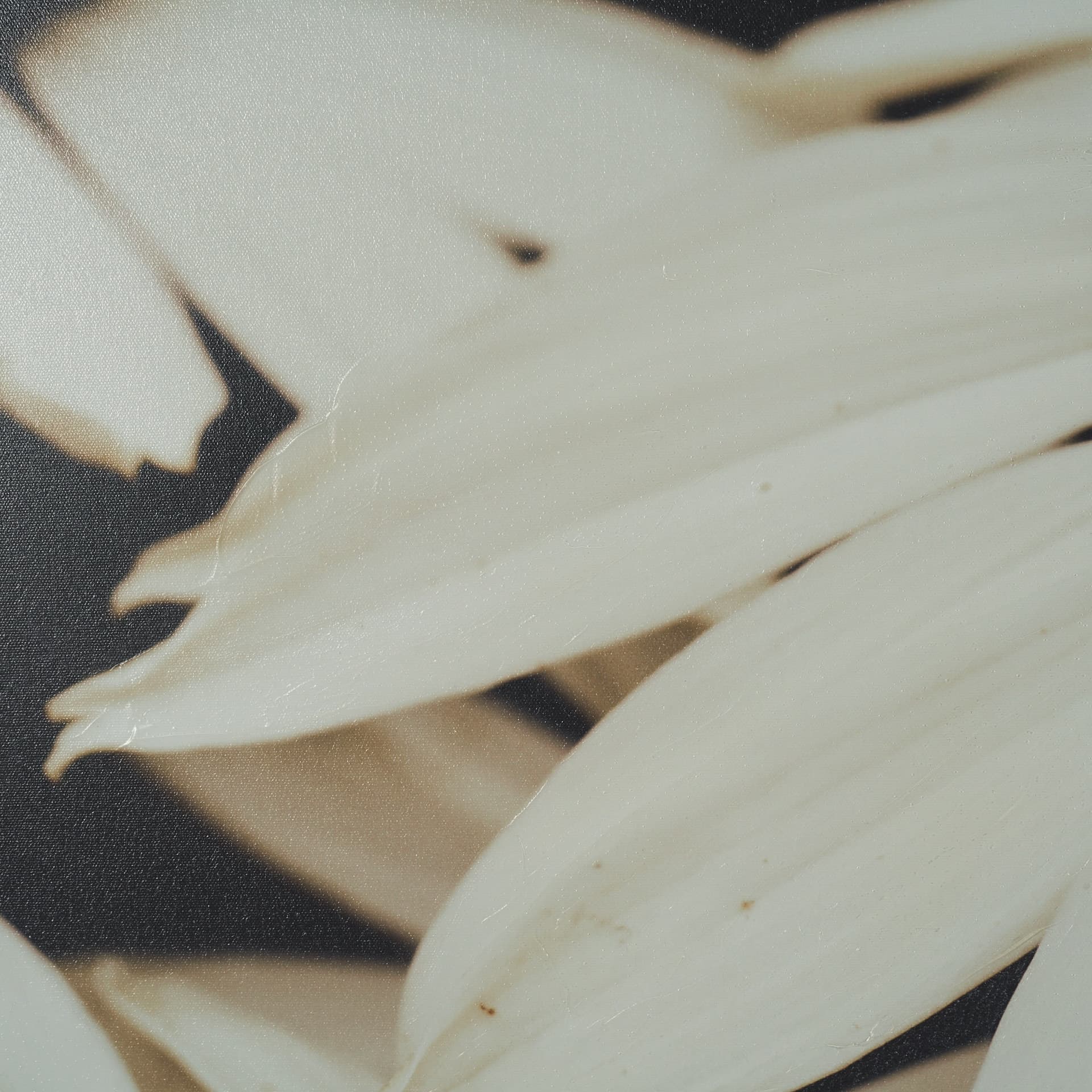 Quiet by Olivia Joy StClaire Hand-Embellished Textured Framed Canvas Art Print — product photograph