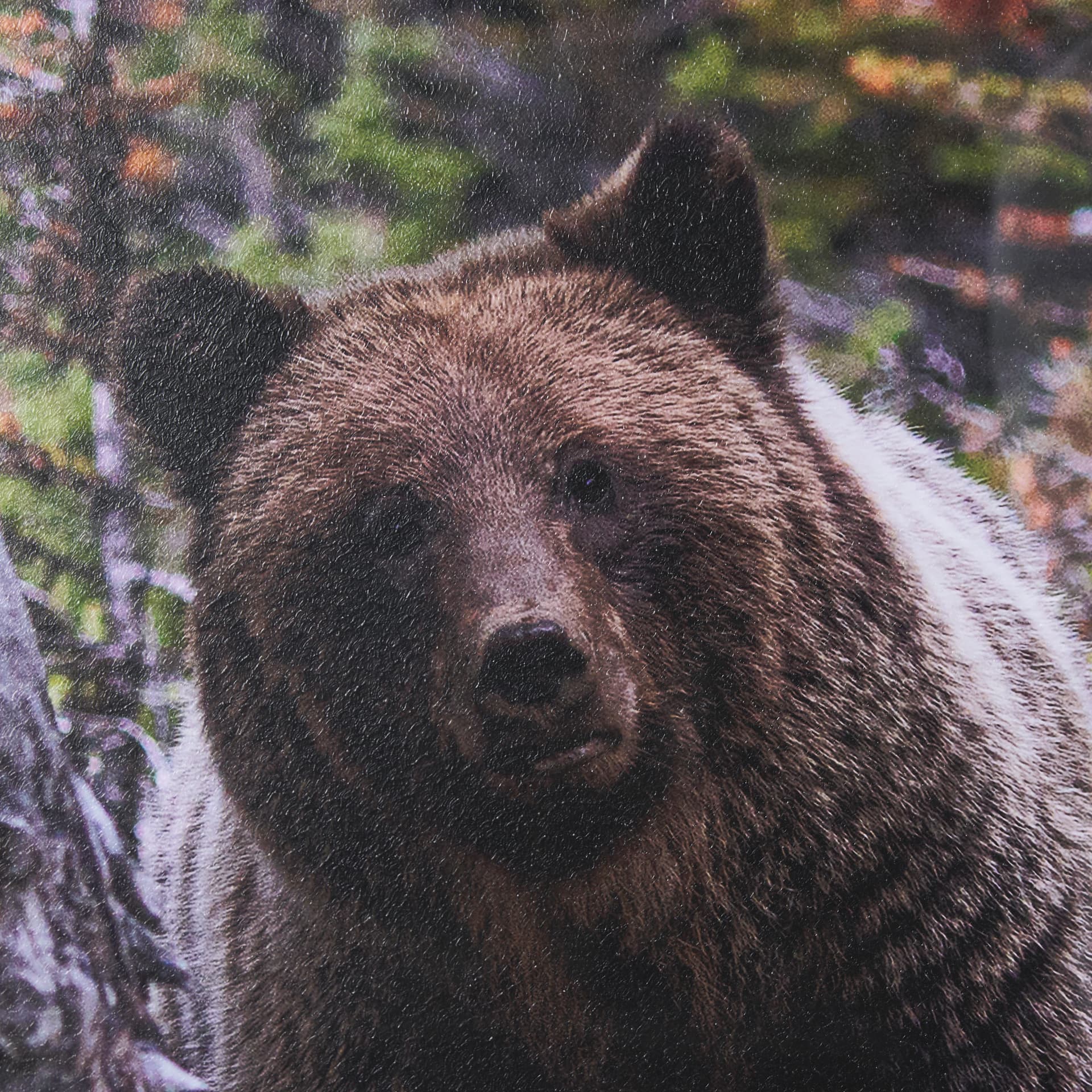 Coming Round the Bend by Gary Blatter Hand Embellished Textured Framed Photo Art Print Matted under — product photograph