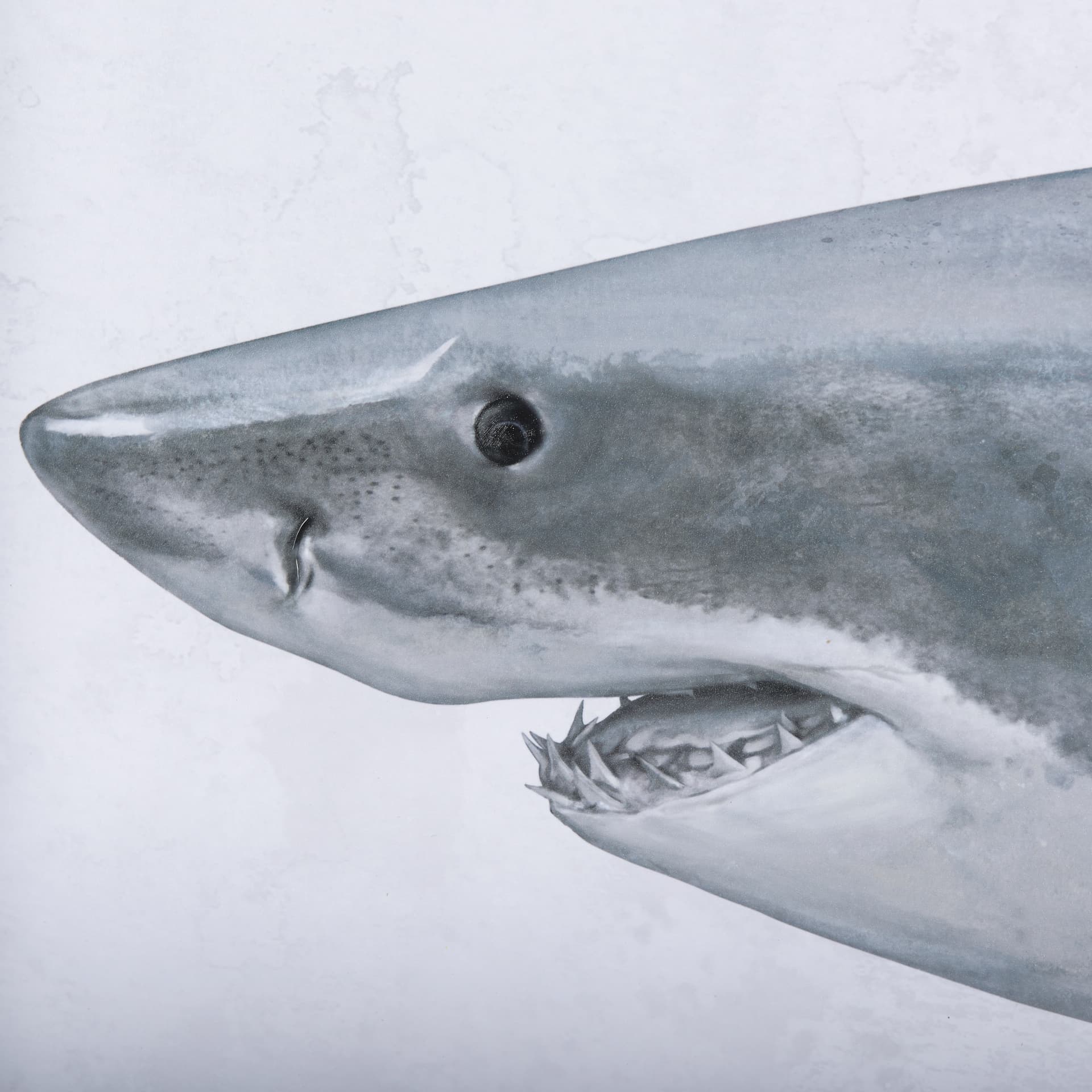 Great White Shark by Ariana a Triptych Hand Embellished Textured Framed Art Print Matted under Glass — product photograph