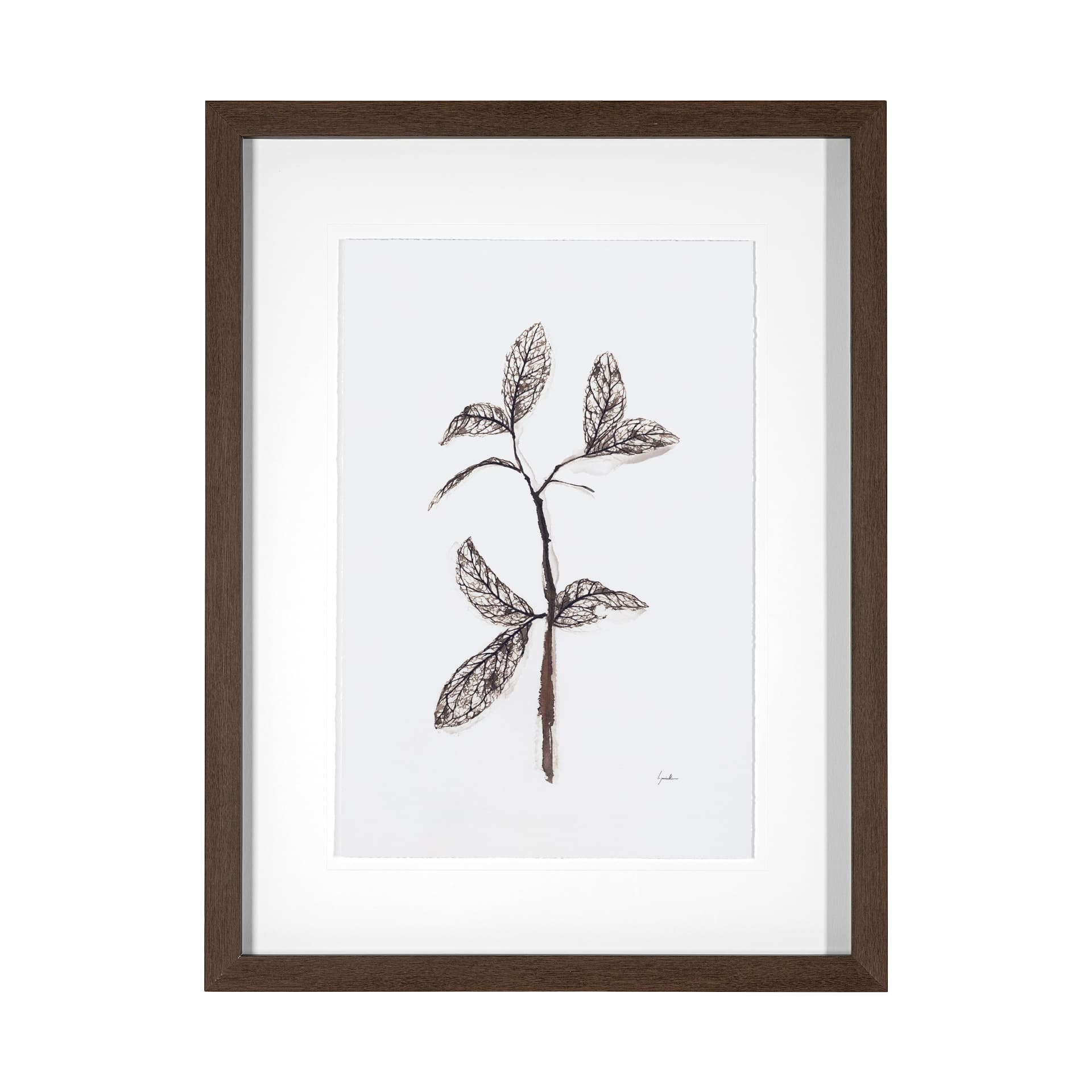 Olive Branch II by Gabrielle a Framed Art Print Matted under Glass — product photograph