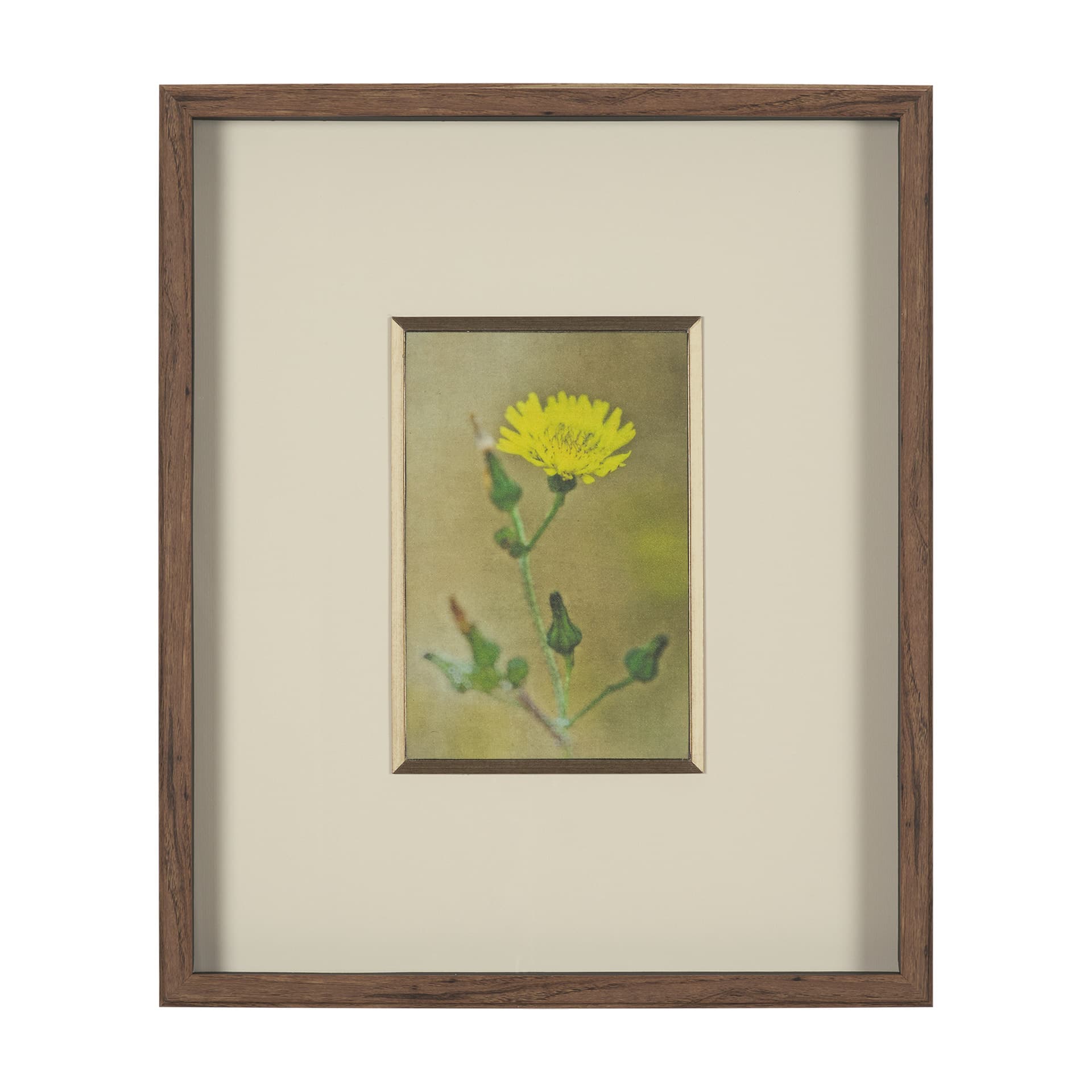 Floral Bliss by Michael Banks a Hand Embellished Framed Photo Art Print Matted under Glass — product photograph