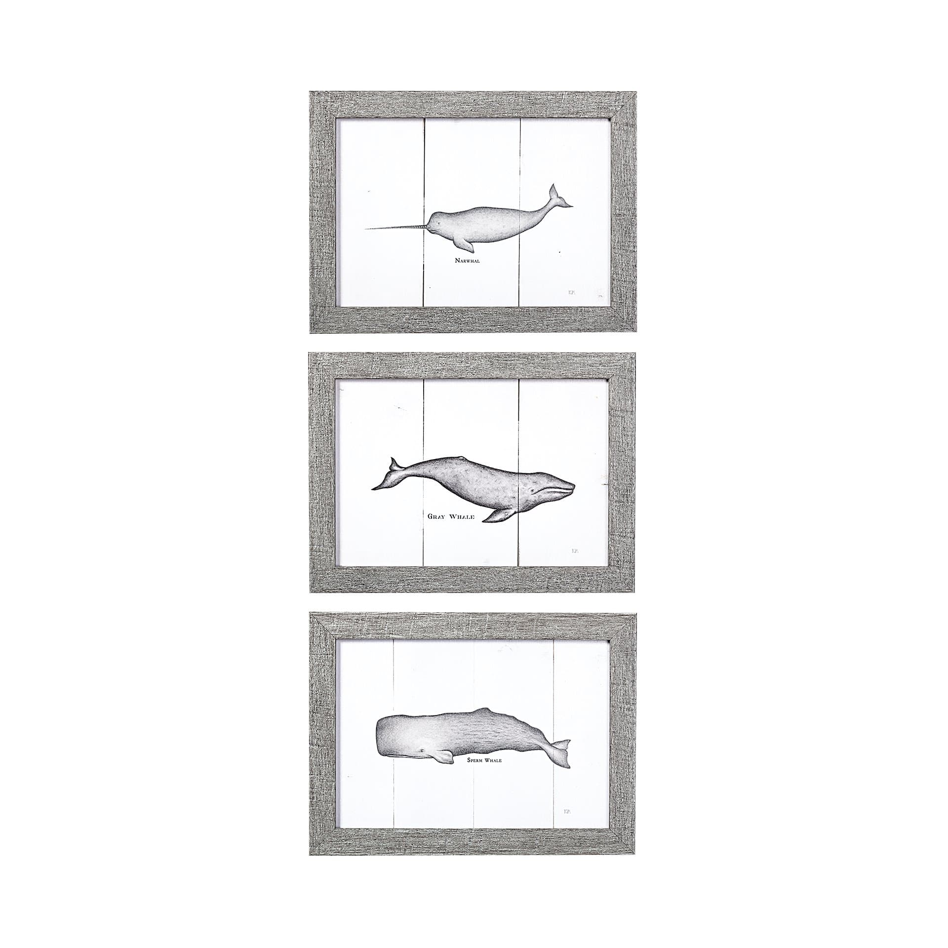 Narwhal by Mercana Studio a Hand Embellished Textured Framed Art Print — product photograph