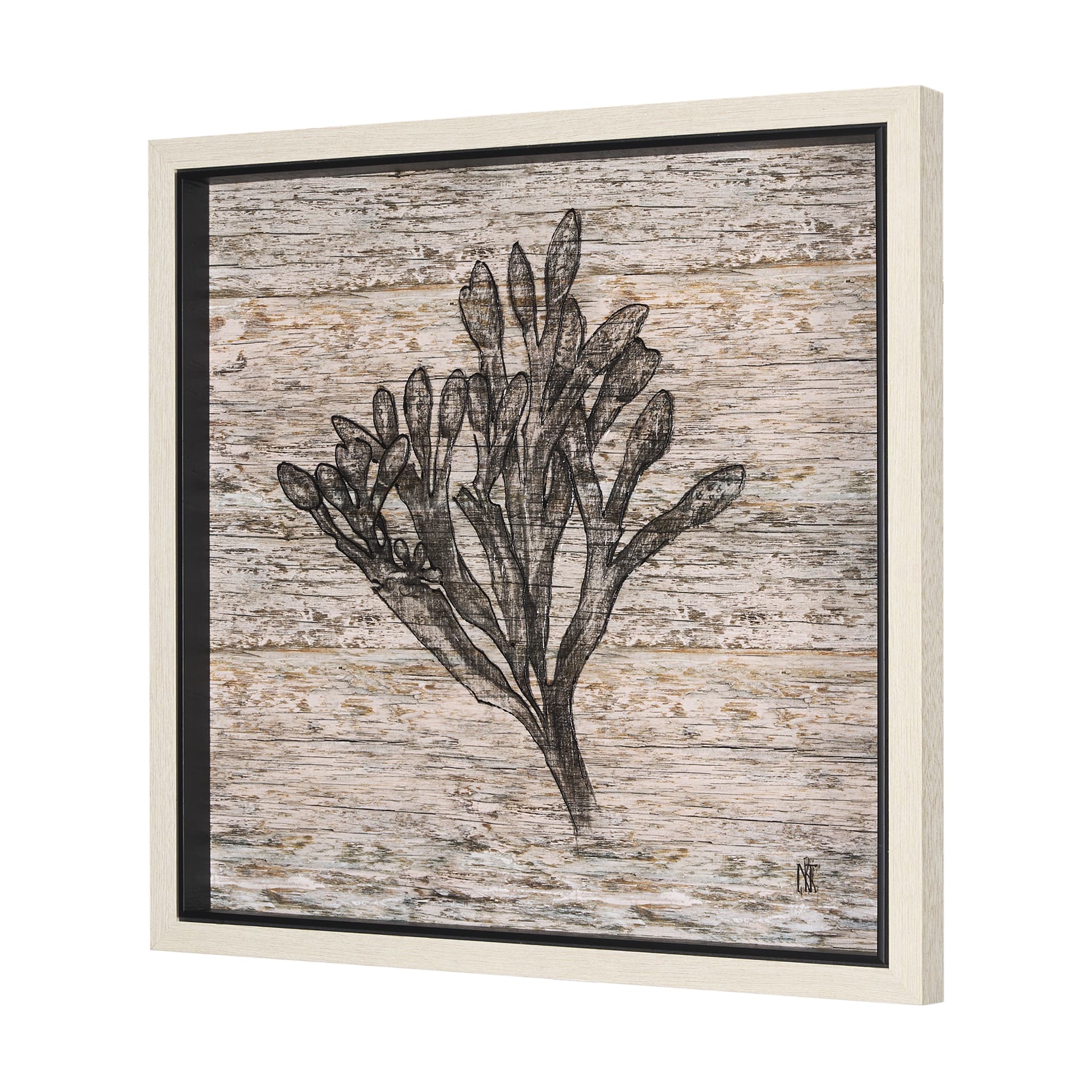 Wood Grain Sea Plant II by Mercana Studio a Hand Embellished Textured Framed Art Print — product photograph