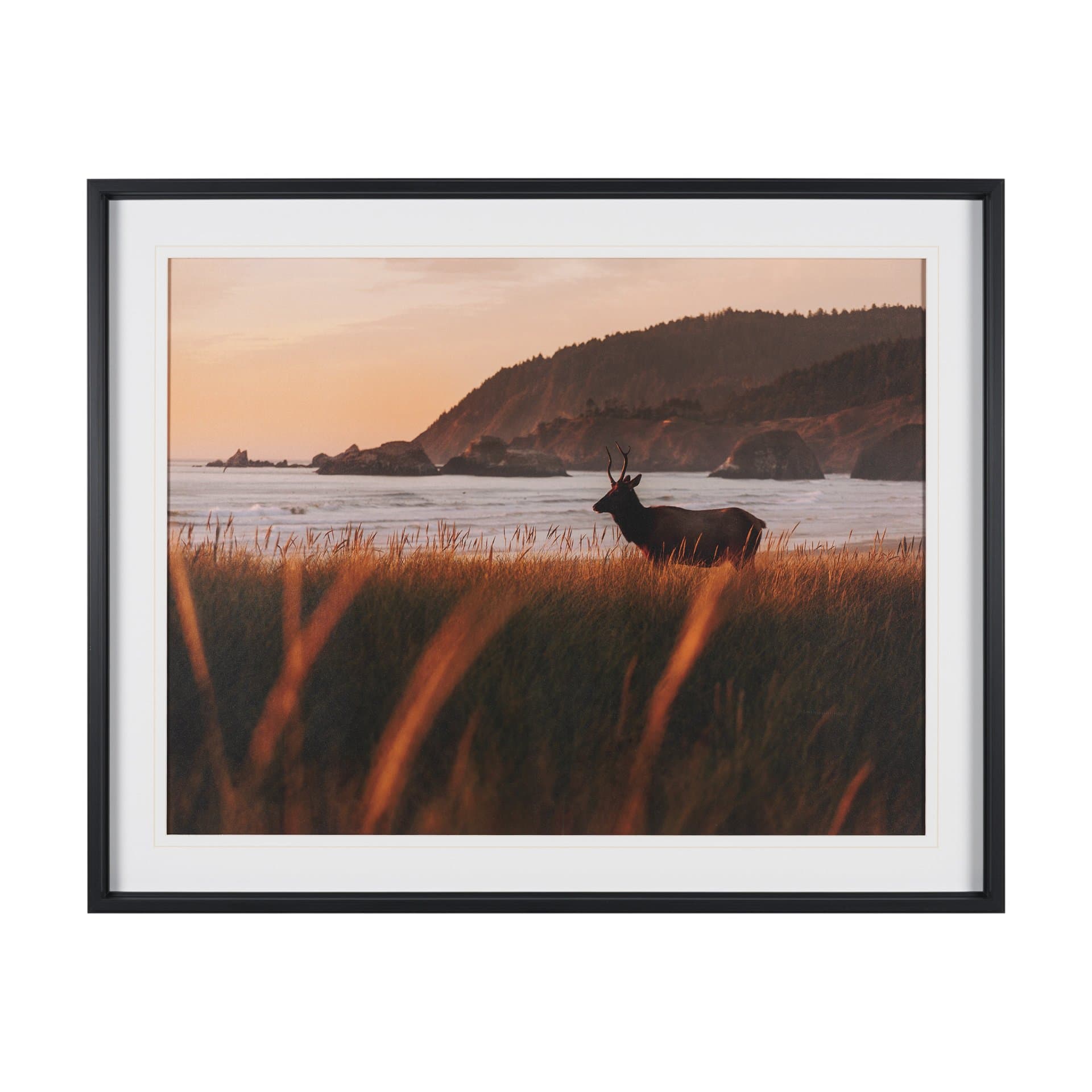 Cannon Beach Elk by Stefan and Audrey Textured Framed Photo Print Matted under Glass — product photograph