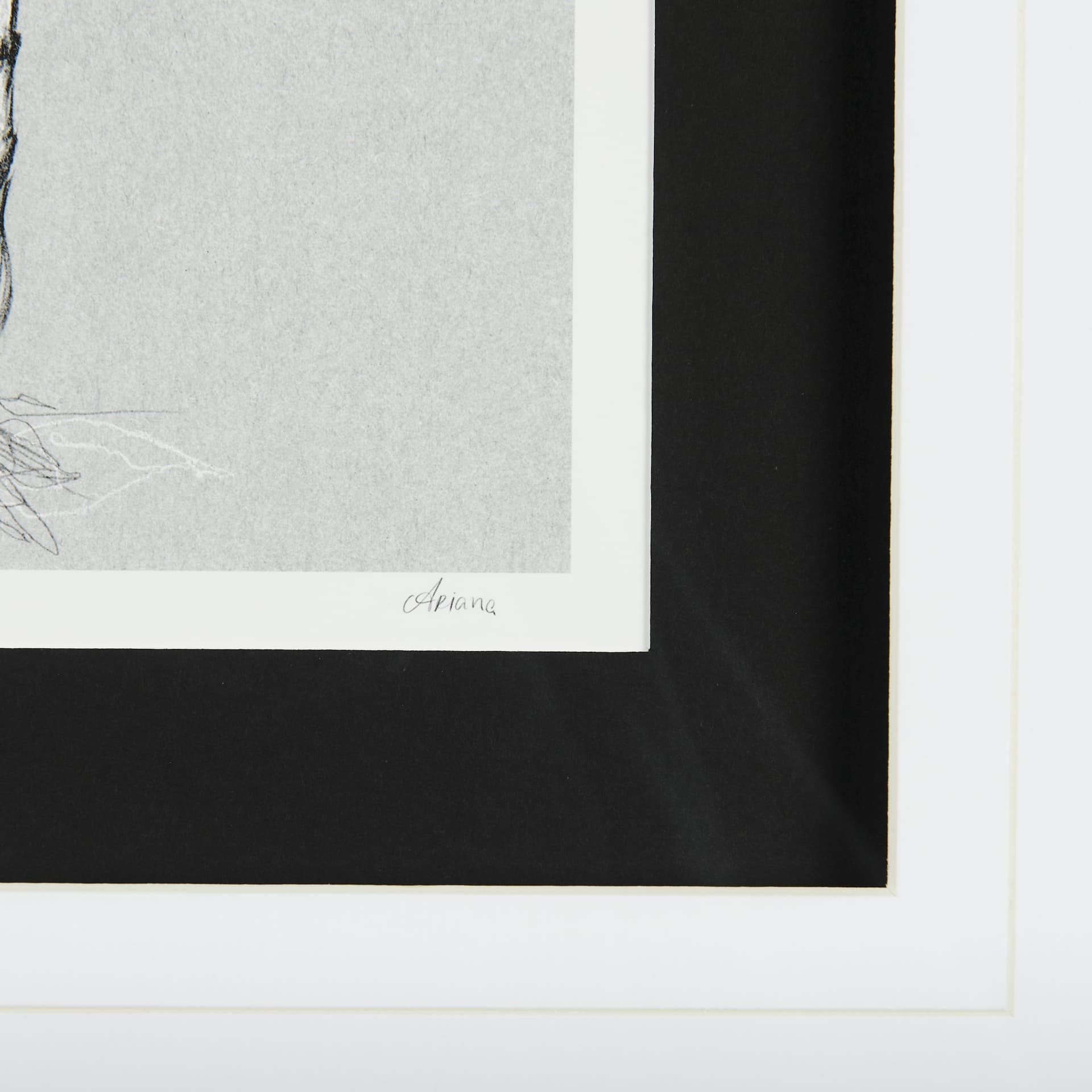 Botanical sketches II (Grey) by Mercana Studio Hand Embellished Framed Art Print Matted under Glass — product photograph