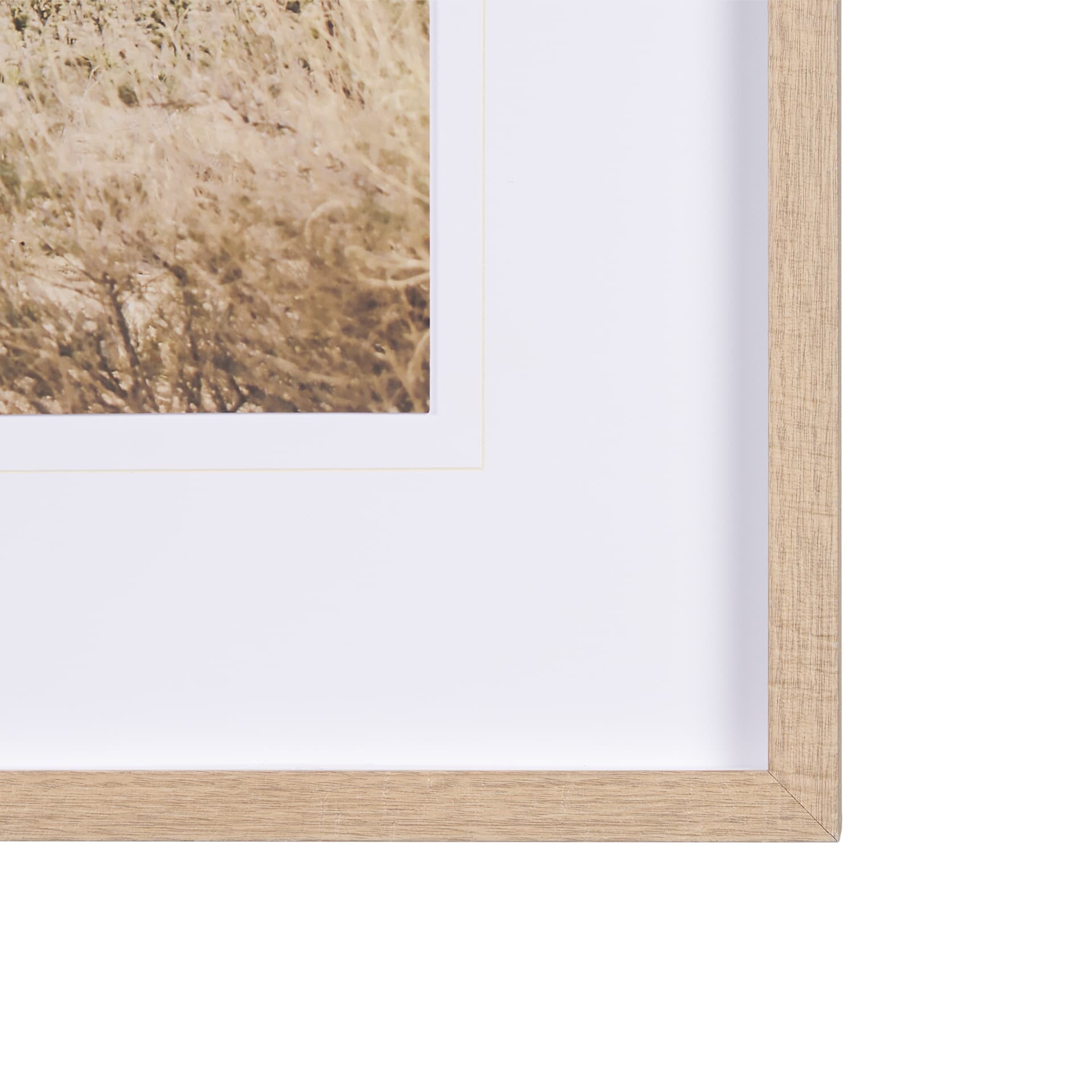 Joshua Tree 3 by THE Studio a Framed Photo Art Print Matted under Glass — product photograph
