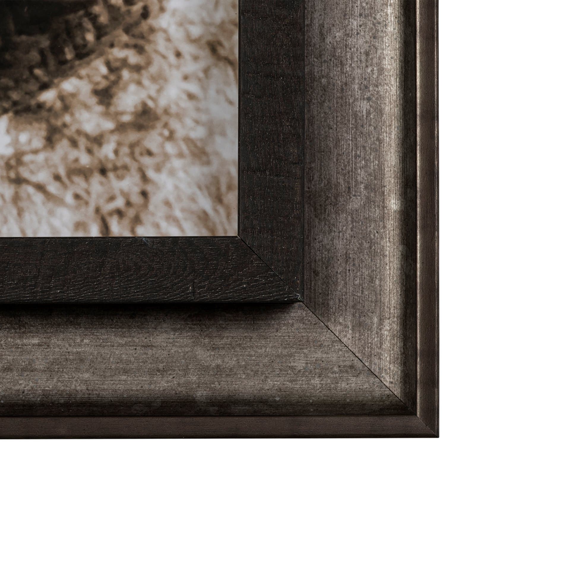 Kitty I by Jim Drafield a Framed Photo Art Print — product photograph