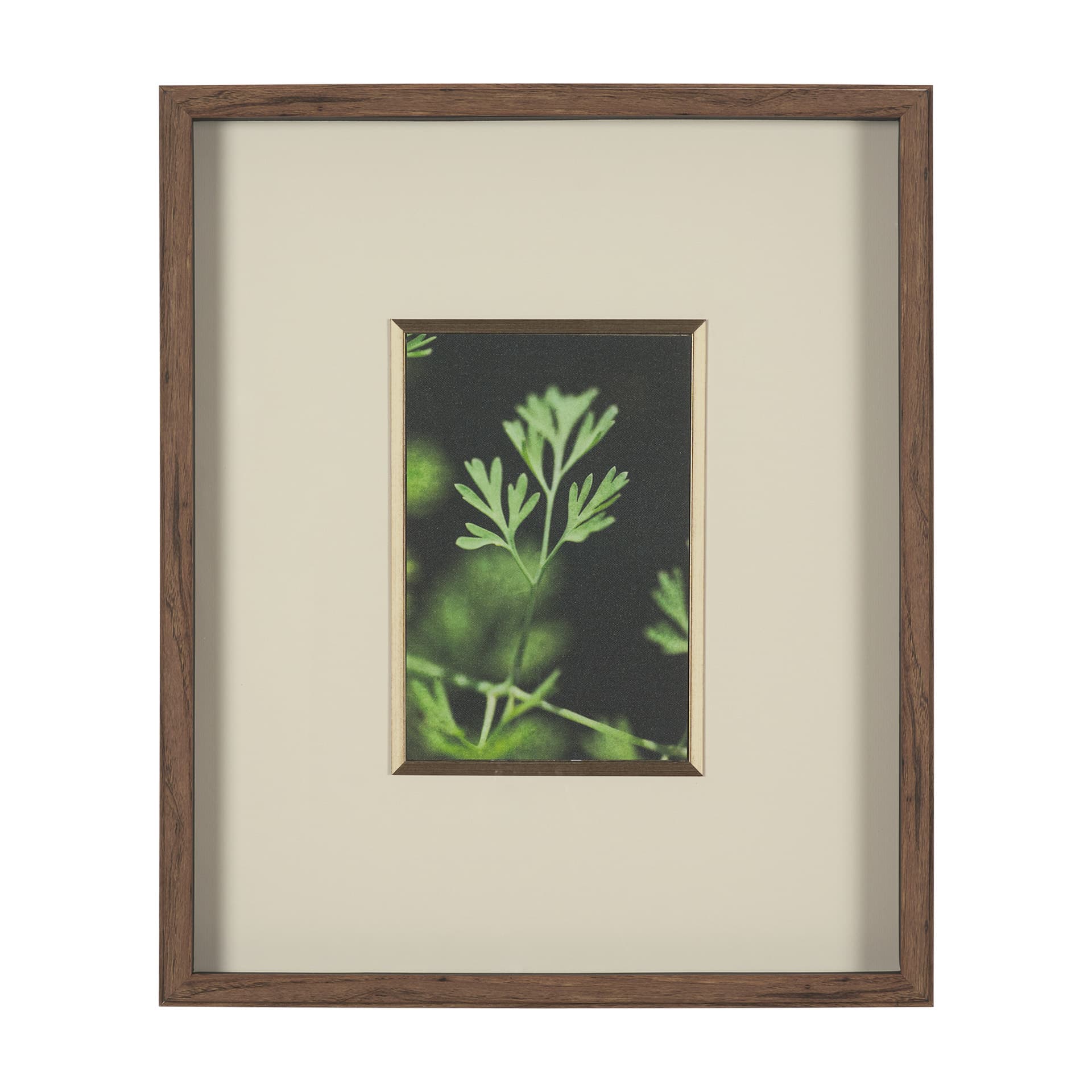 Green Growth by Michael Banks a Hand Embellished Framed Photo Art Print Matted under Glass — product photograph