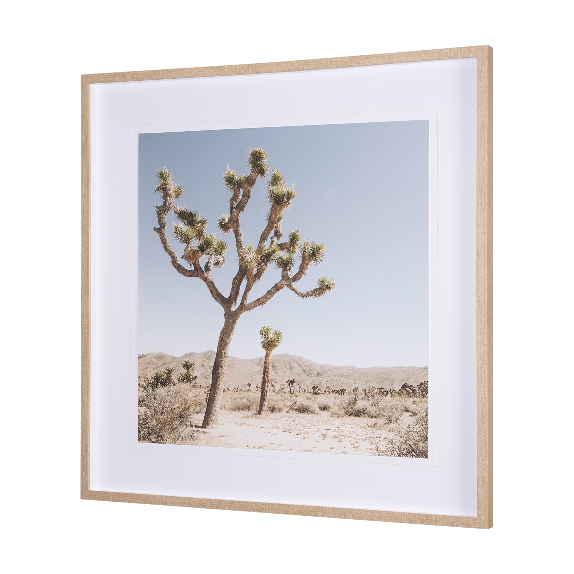 Joshua Tree 1 by THE Studio a Framed Photo Art Print Matted under Glass — product photograph