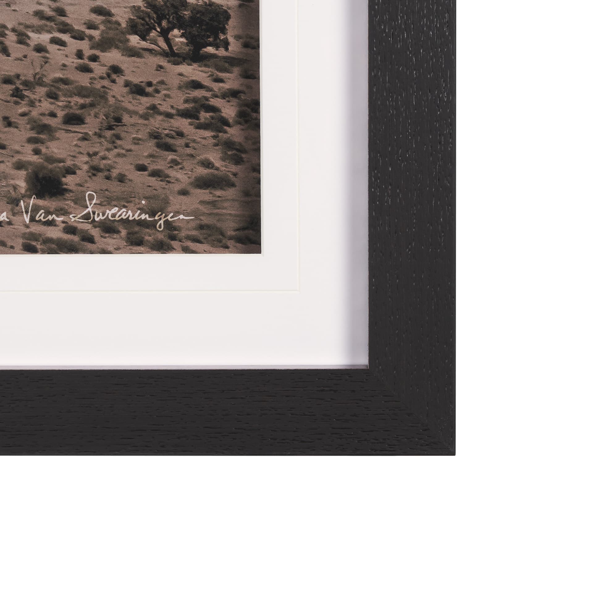 Monument Valley II Sepia by Debra Van Swearingen a Hand Embellished Framed Photo Art Print Matted un — product photograph