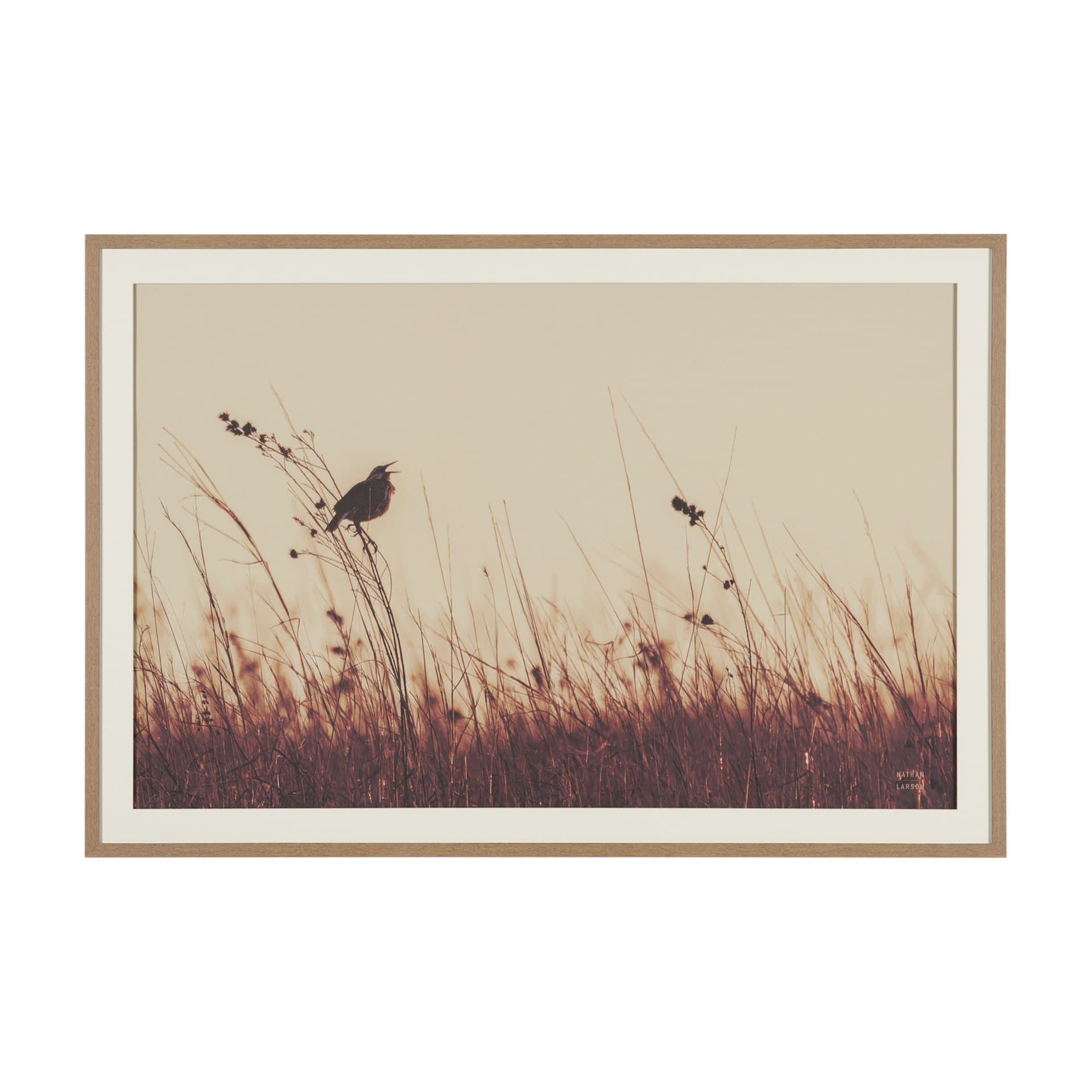 Meadowlark Call Antique by Nathan Larson FramedPhoto Matted under Glass — product photograph