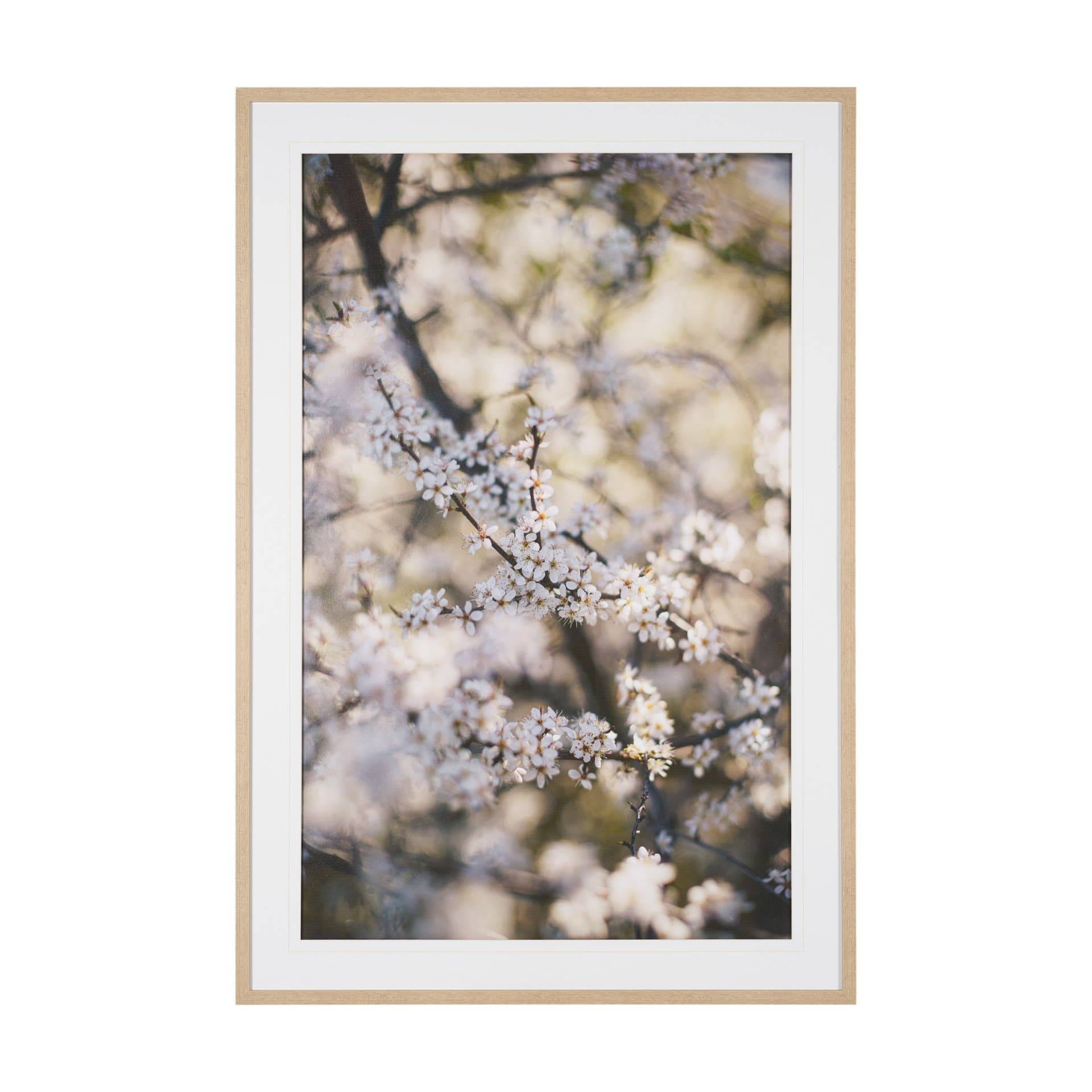 Wilde Prunus by Zaira Zarotti Textured Framed Photo Print Matted under Glass — product photograph