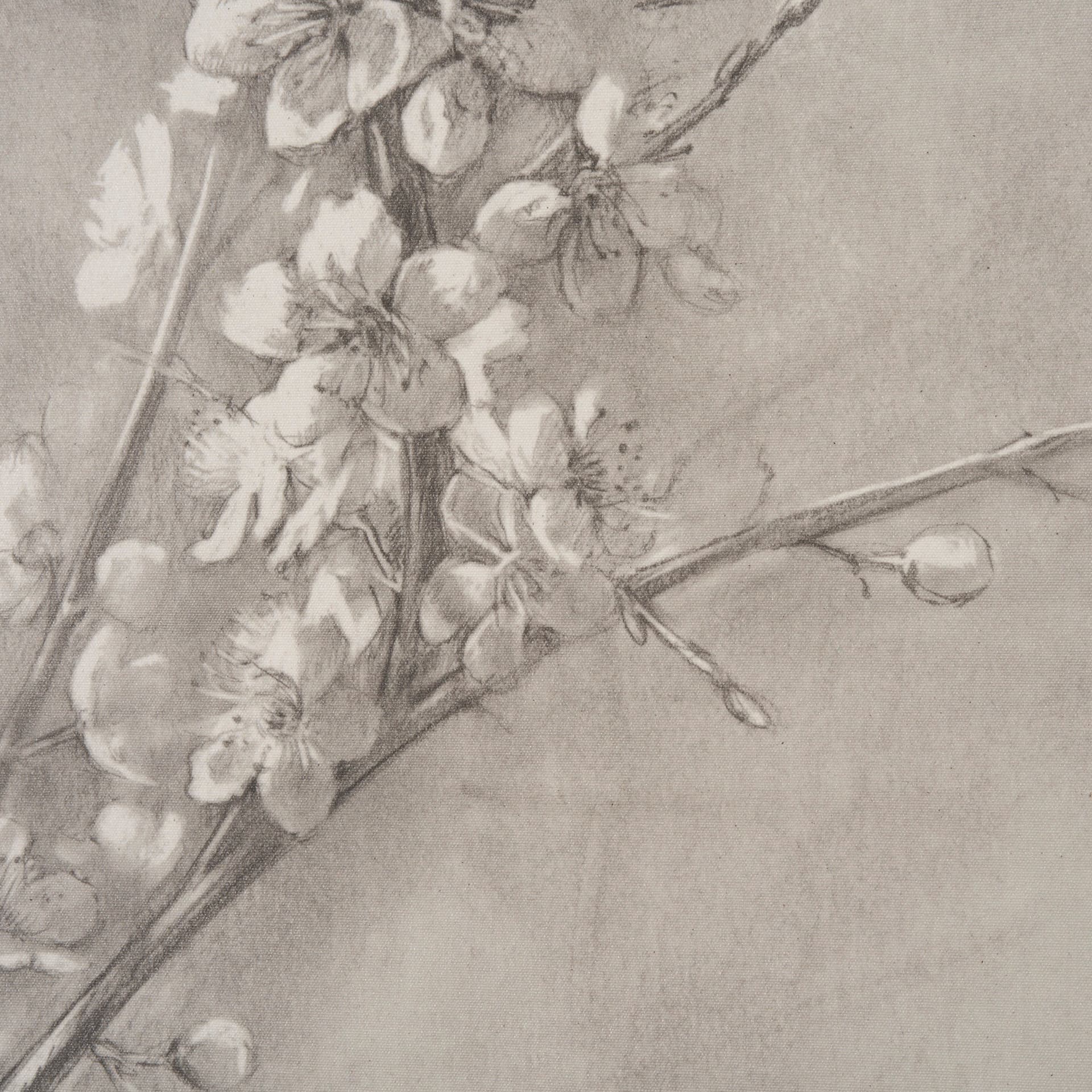 Cherry Blossom Sketch I by Mercana Studio a Hand Embellished Framed Art Print — product photograph