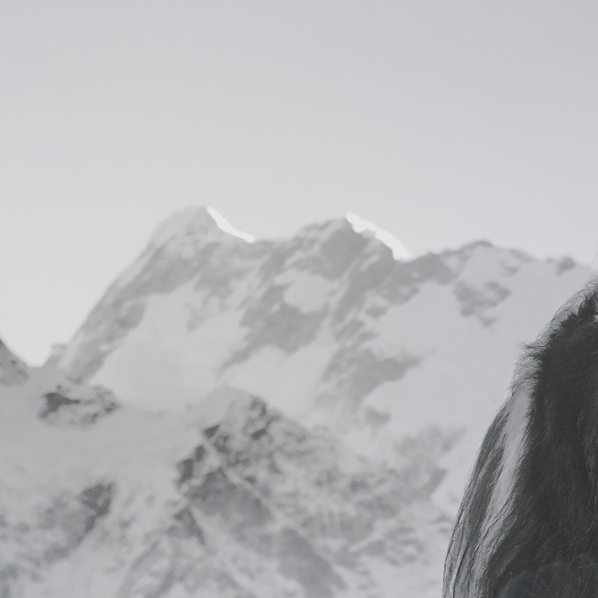 Mountain Majesty - Stance by Matt Roseveare Framed Art Print Matted under Glass — product photograph