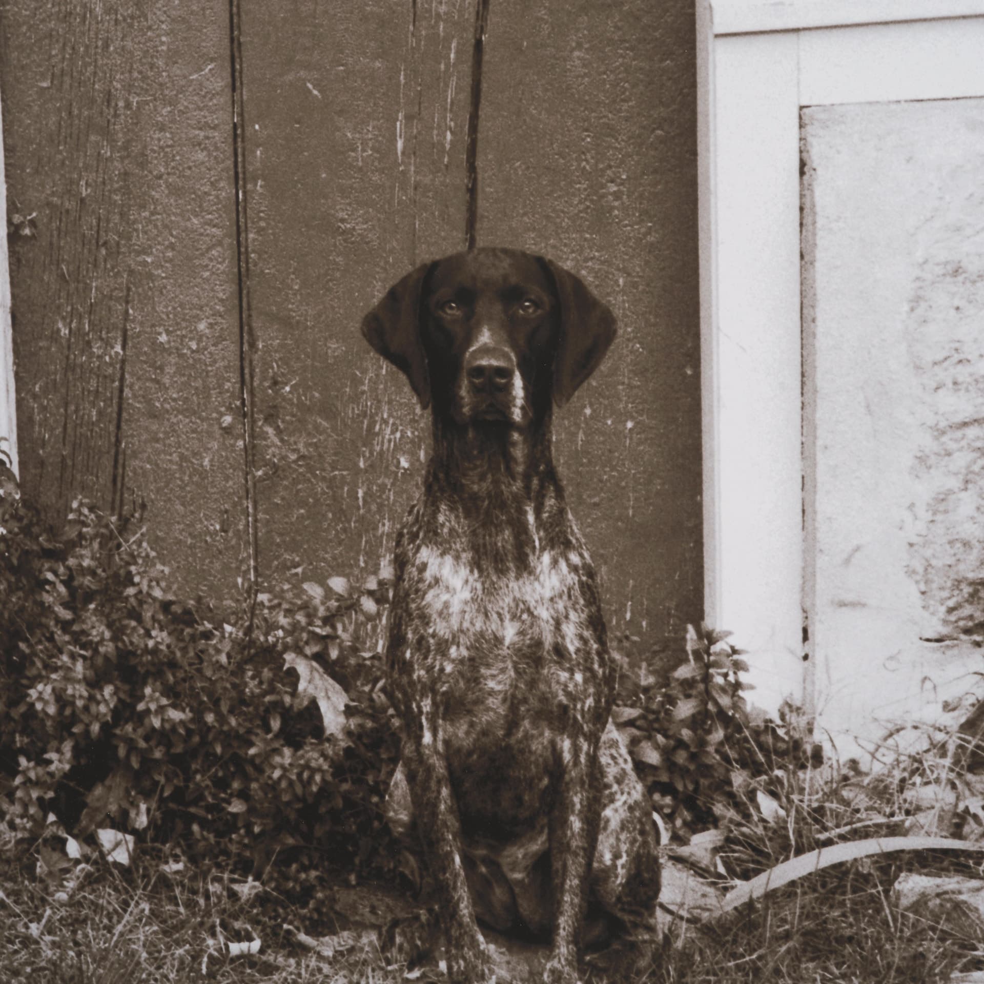 I am Home by Jim Dratfield a Framed Photo Print Matted Under Glass — product photograph