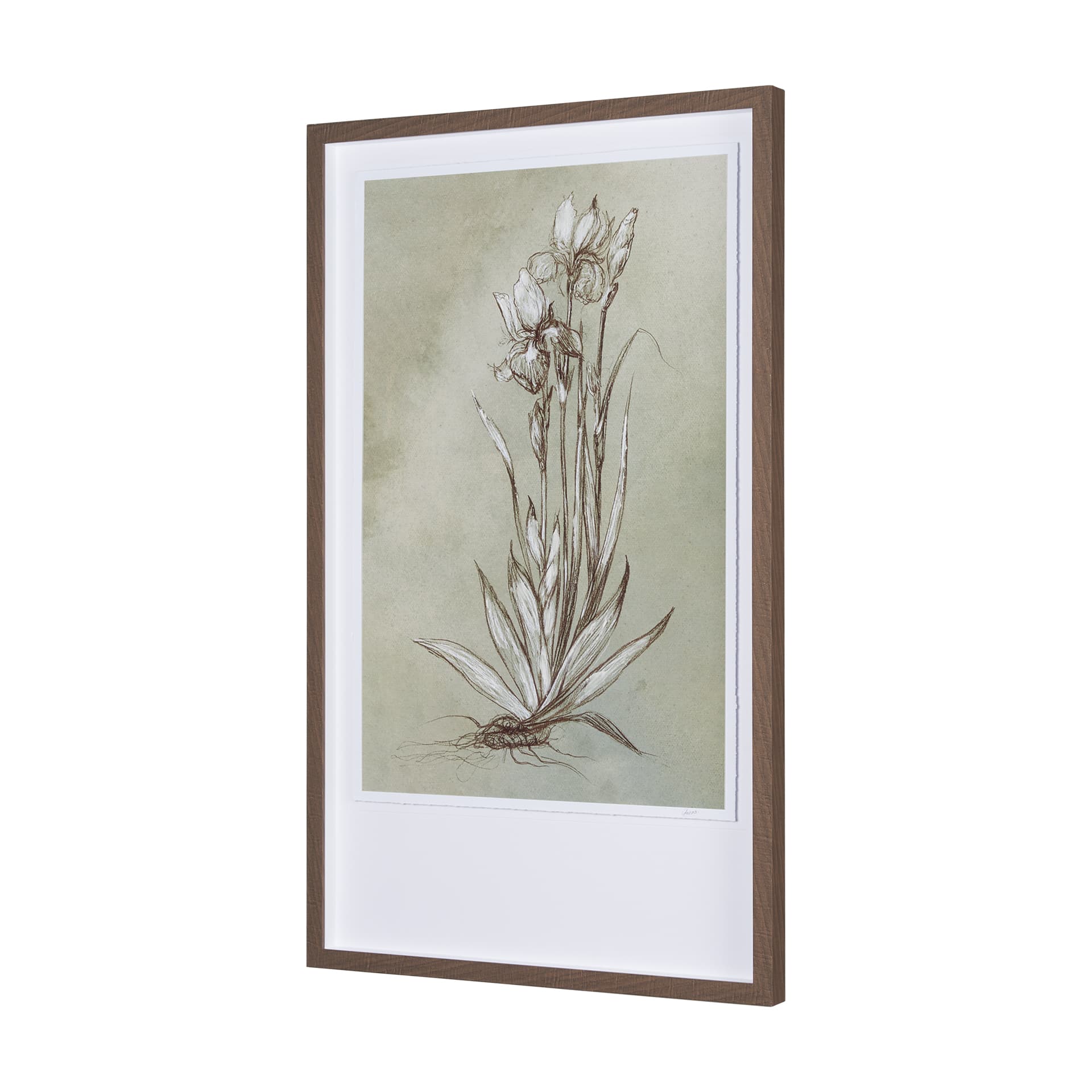 Botanical Sketch IV (green) by Mercana Studio Hand Embellished Framed Art Print Matted under Glass — product photograph