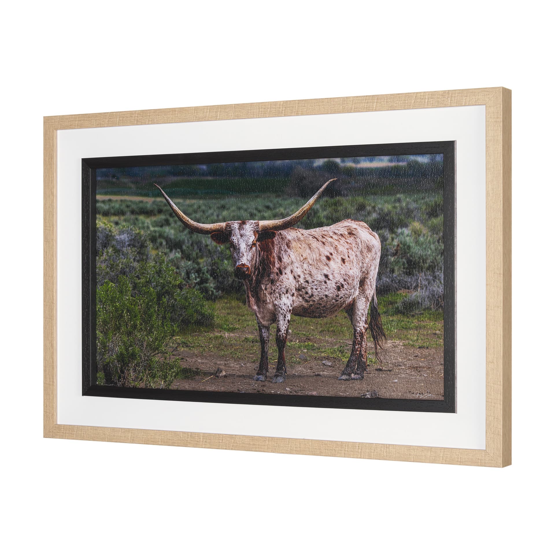 Longhorn 1 by Gary Blatter a Hand Embellished Framed Photo Art Print Matted under Glass — product photograph