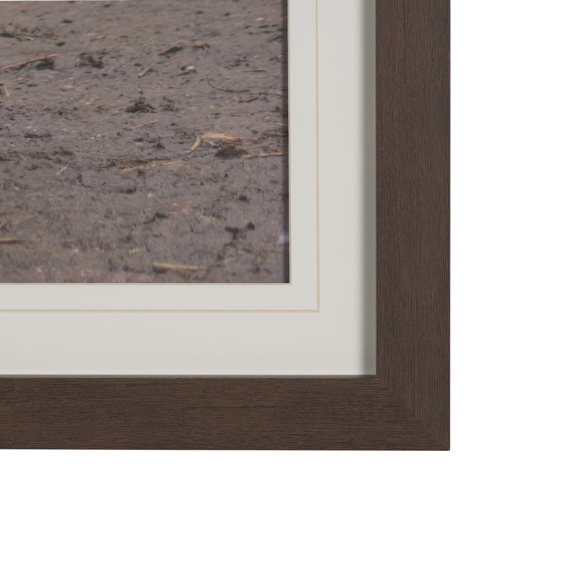 Sharing Lunch by Gert van den Bosch FramedPhoto Print Matted under Glass — product photograph