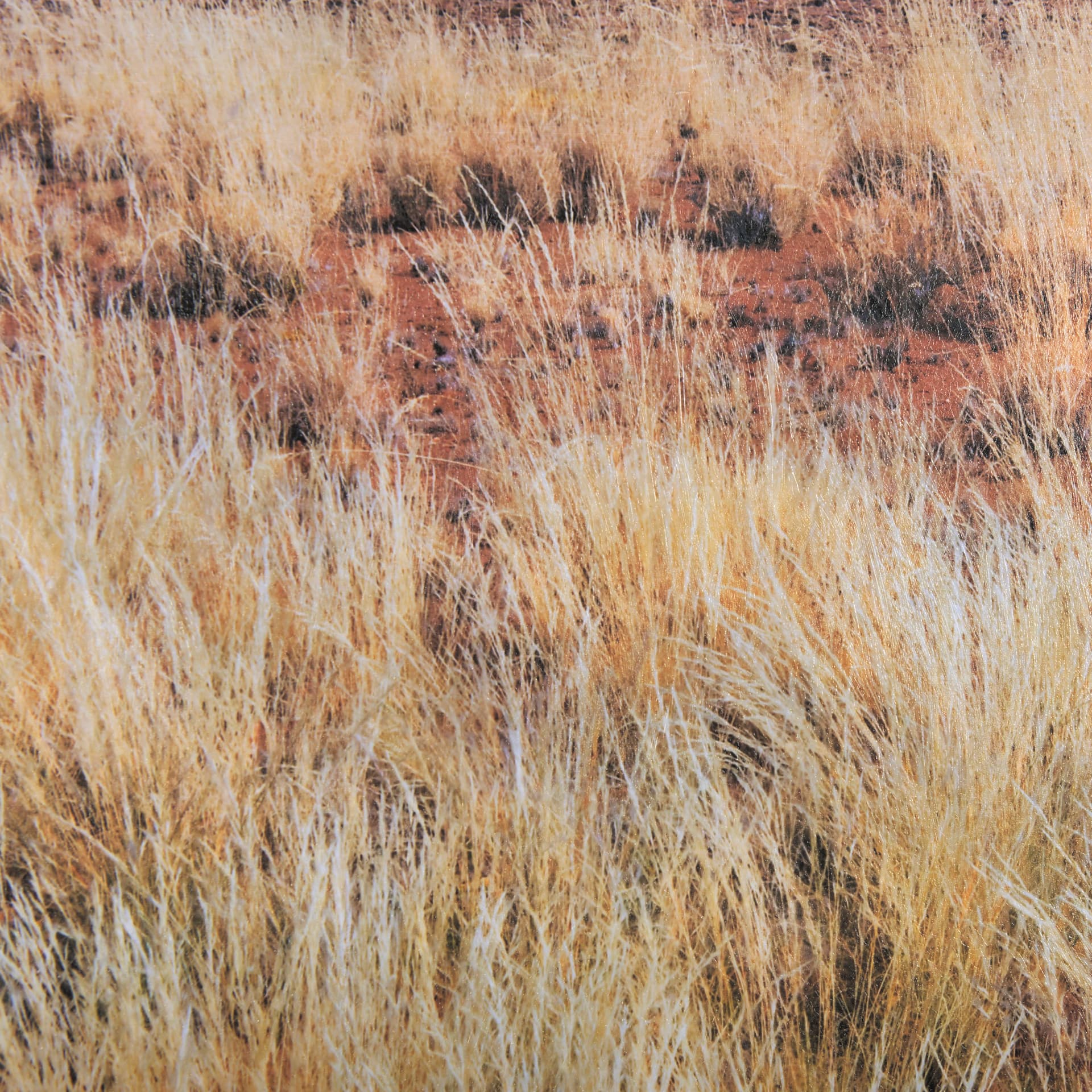 Bold Adventure by Mercana Studio a Hand Embellished Textured Framed Art Photo Matted under Glass — product photograph