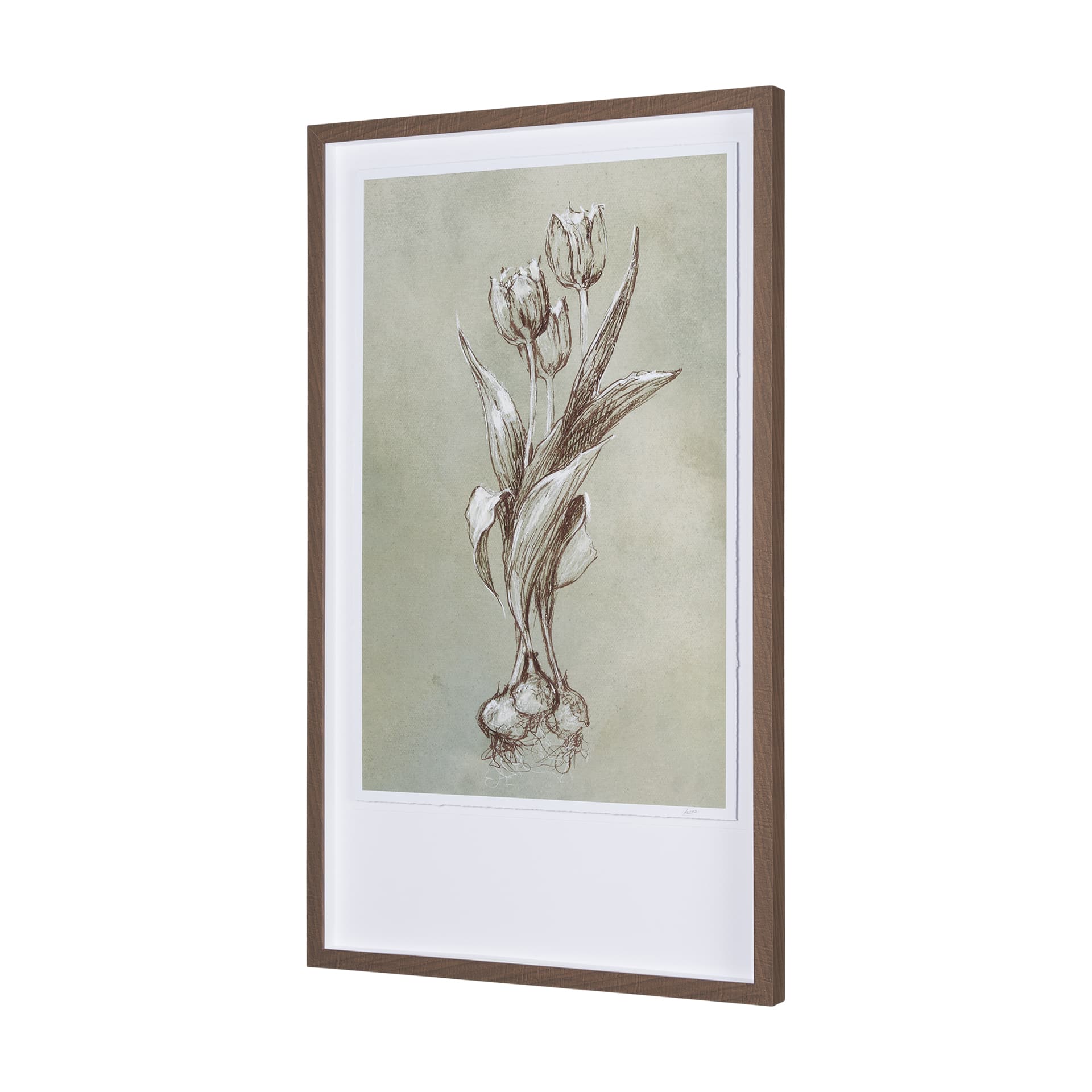 Botanical Sketch I (green) by Mercana Studio Hand Embellished Framed Art Print Matted under Glass — product photograph